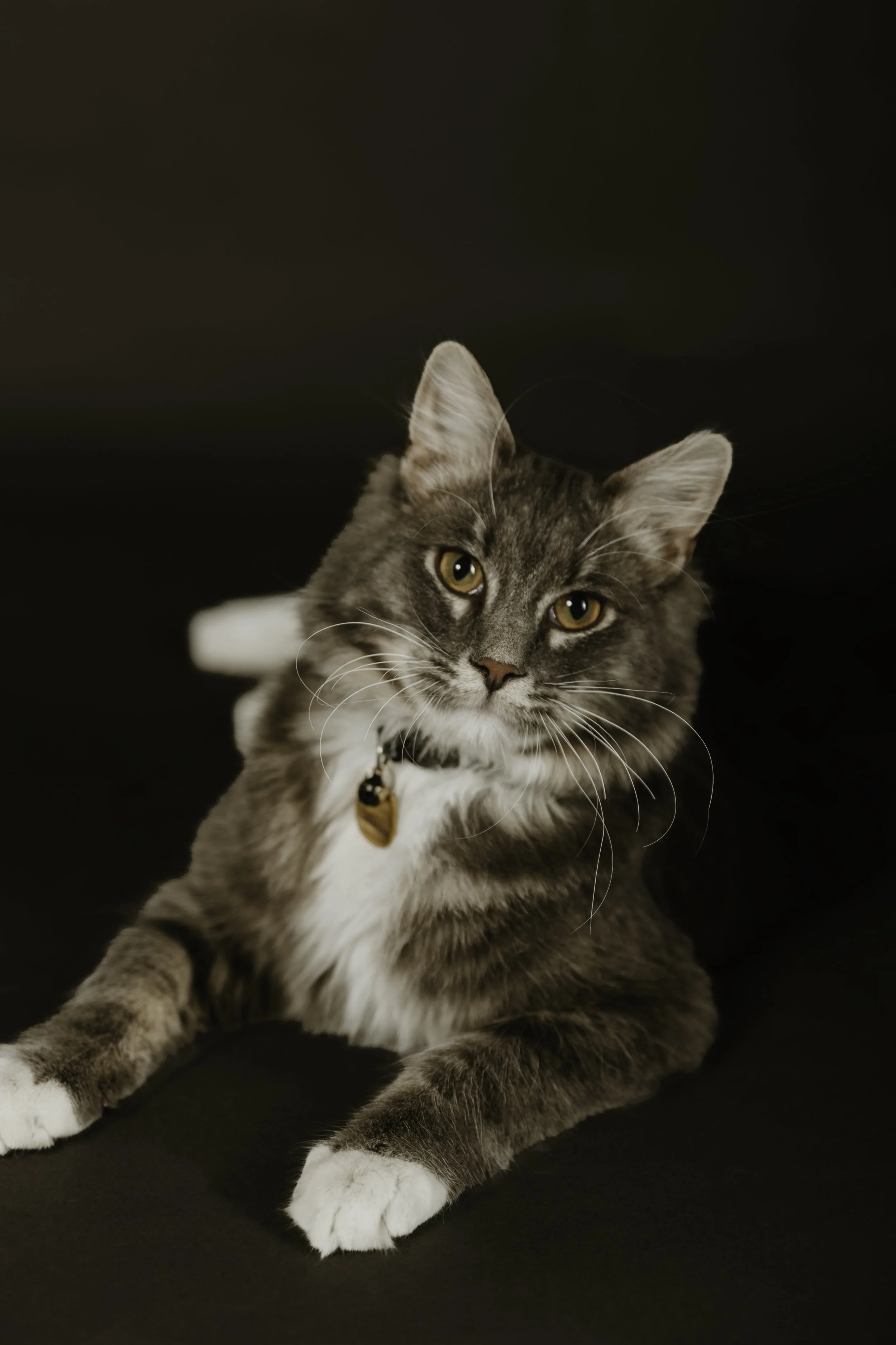 7W9A1560-Edit.jpg