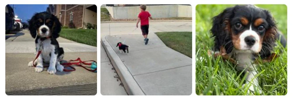 Cindi B. - Missouri - Oct 2025