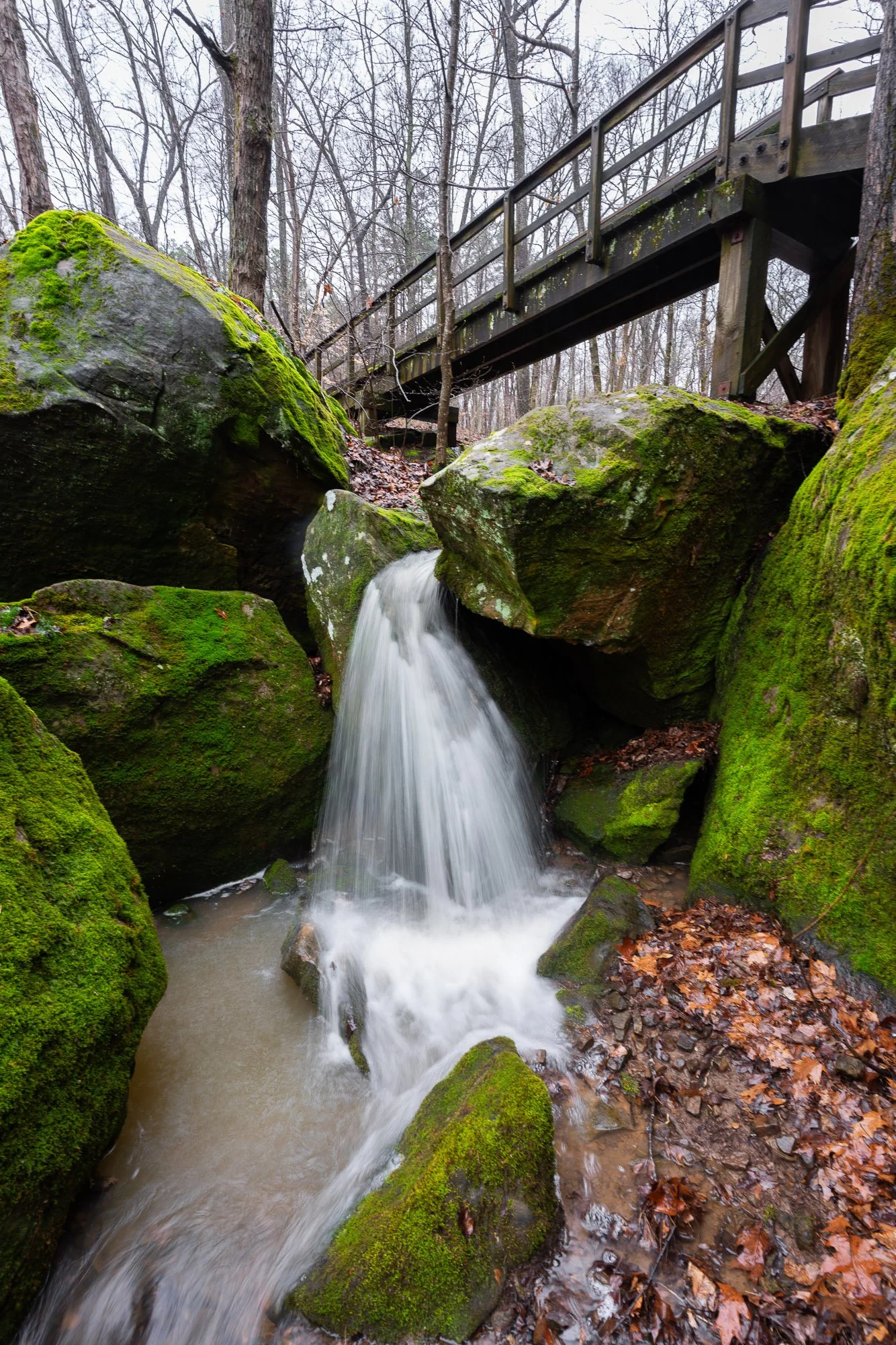 Rim Rock Bridge