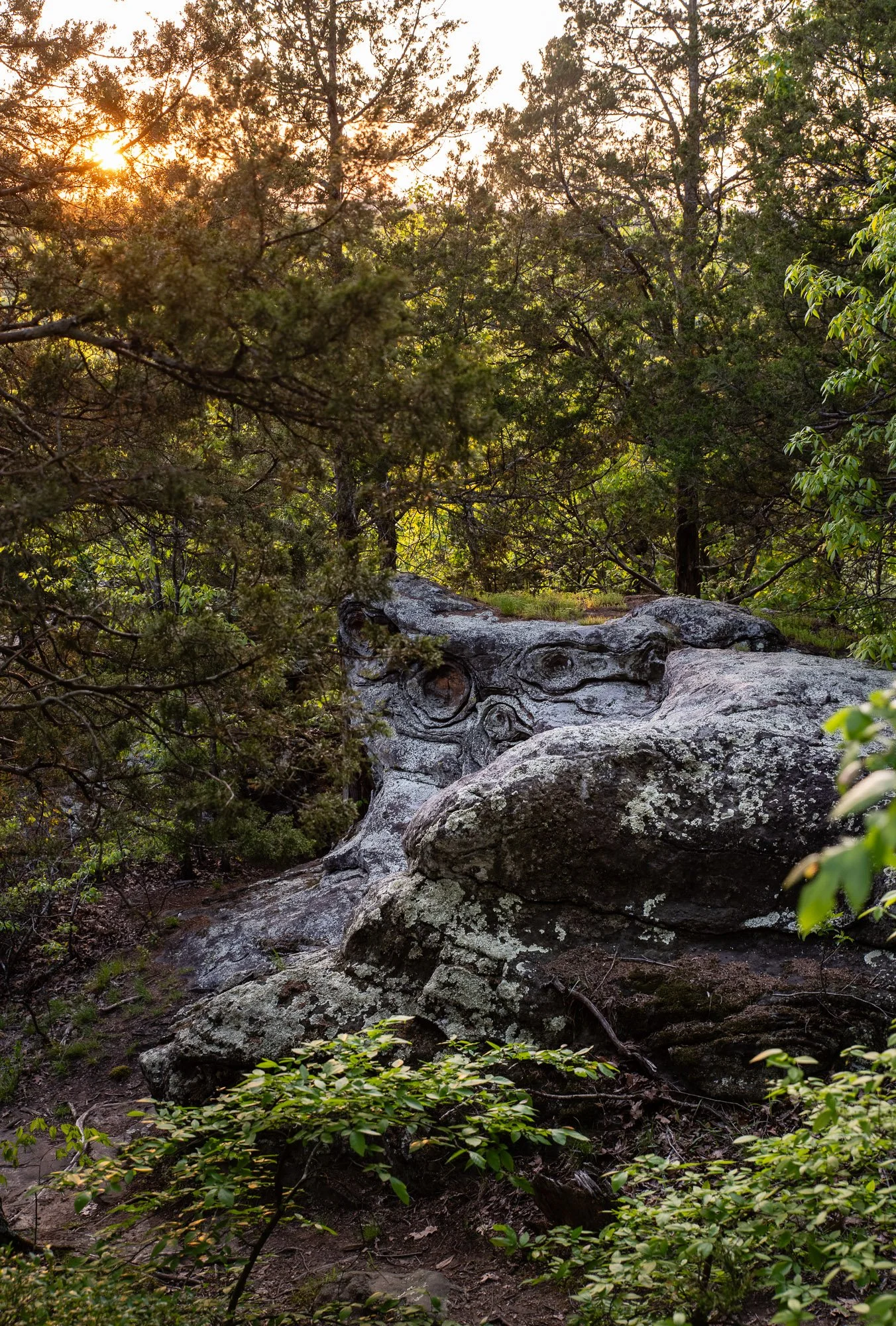 Golden Hour Anvil Rock Trail 02