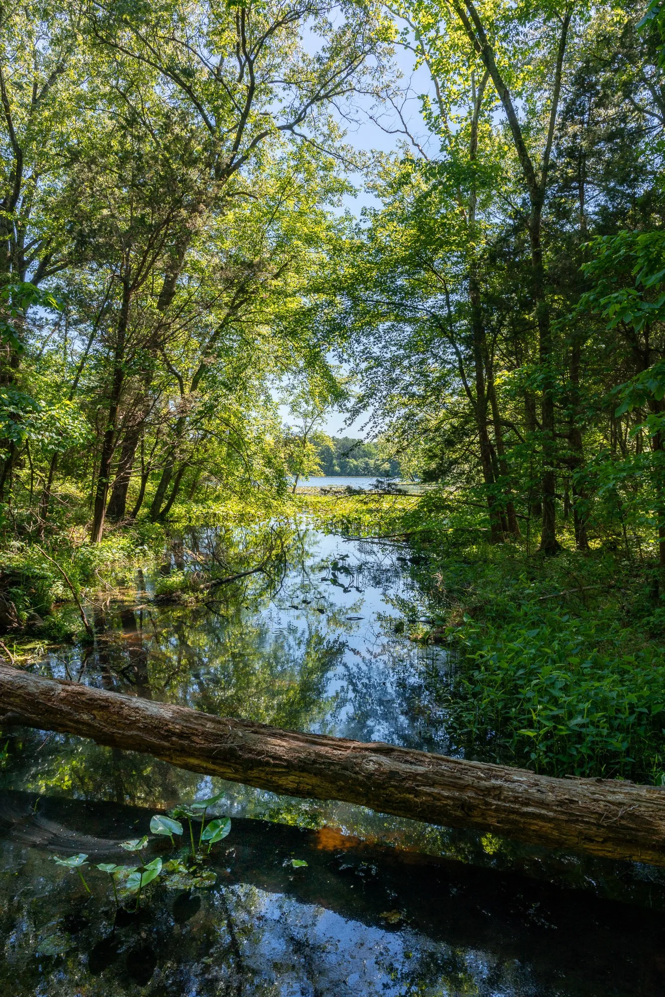 Lake Glendale