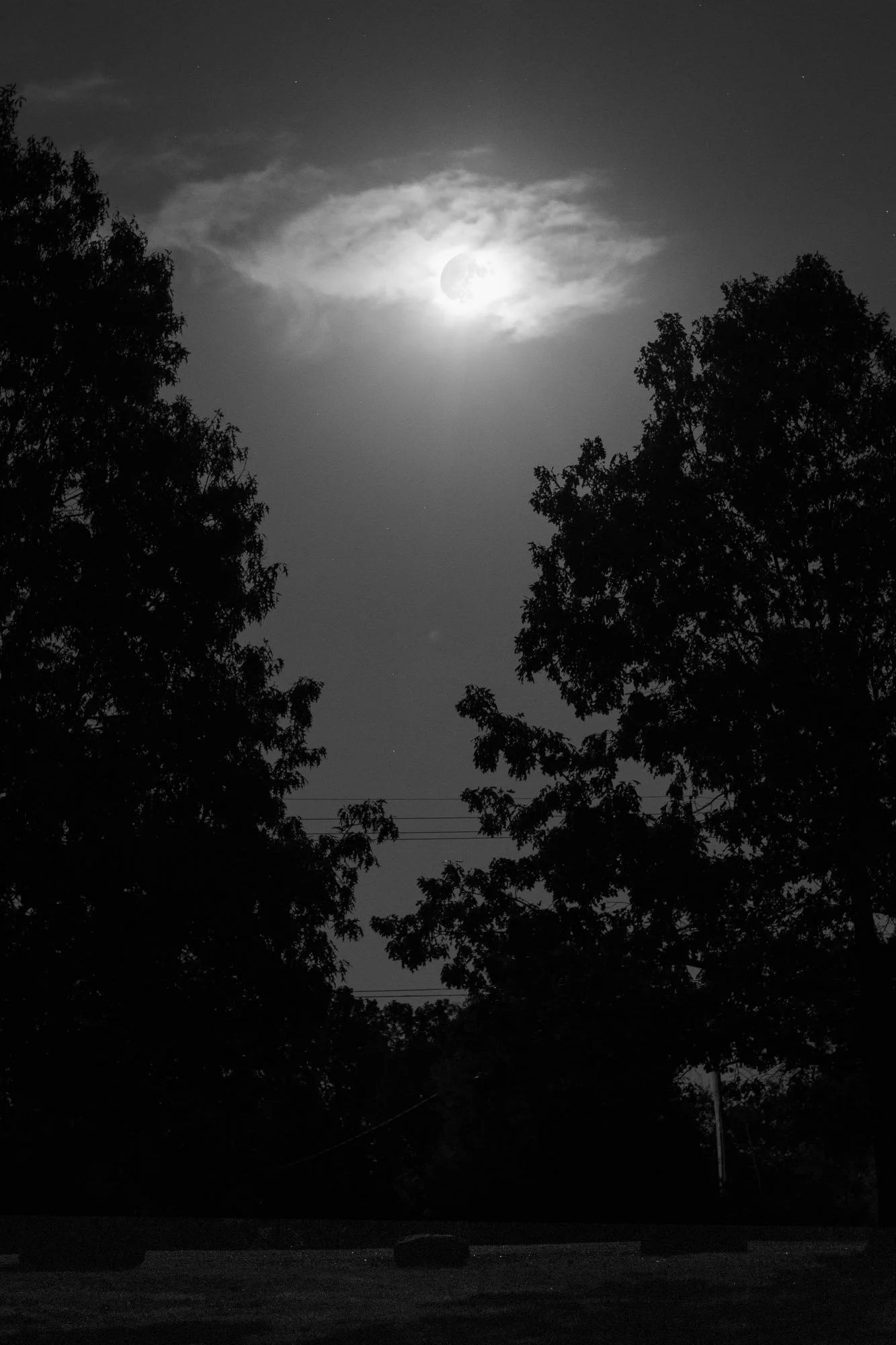 _Q1A7007-Edit.jpg