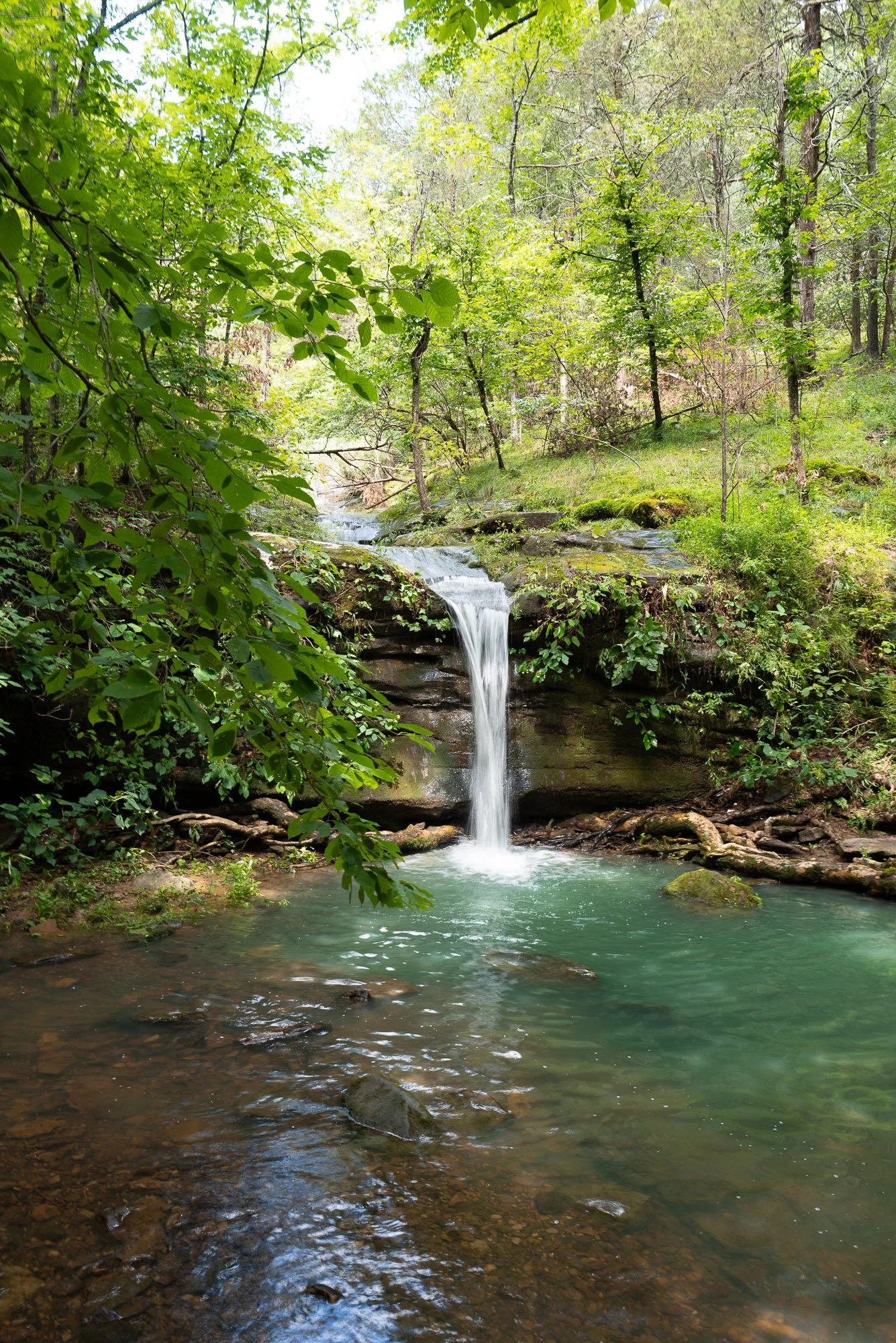 Rebman Falls
