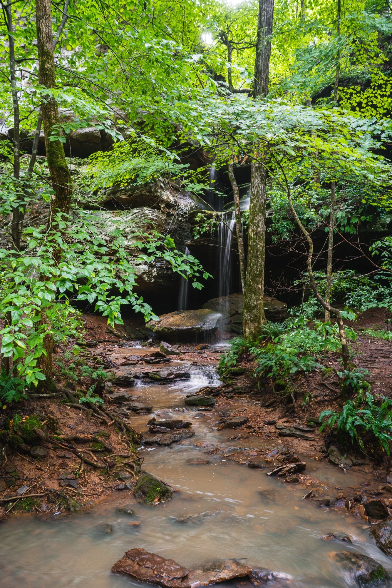 Big Rocky Hollow Campground Falls