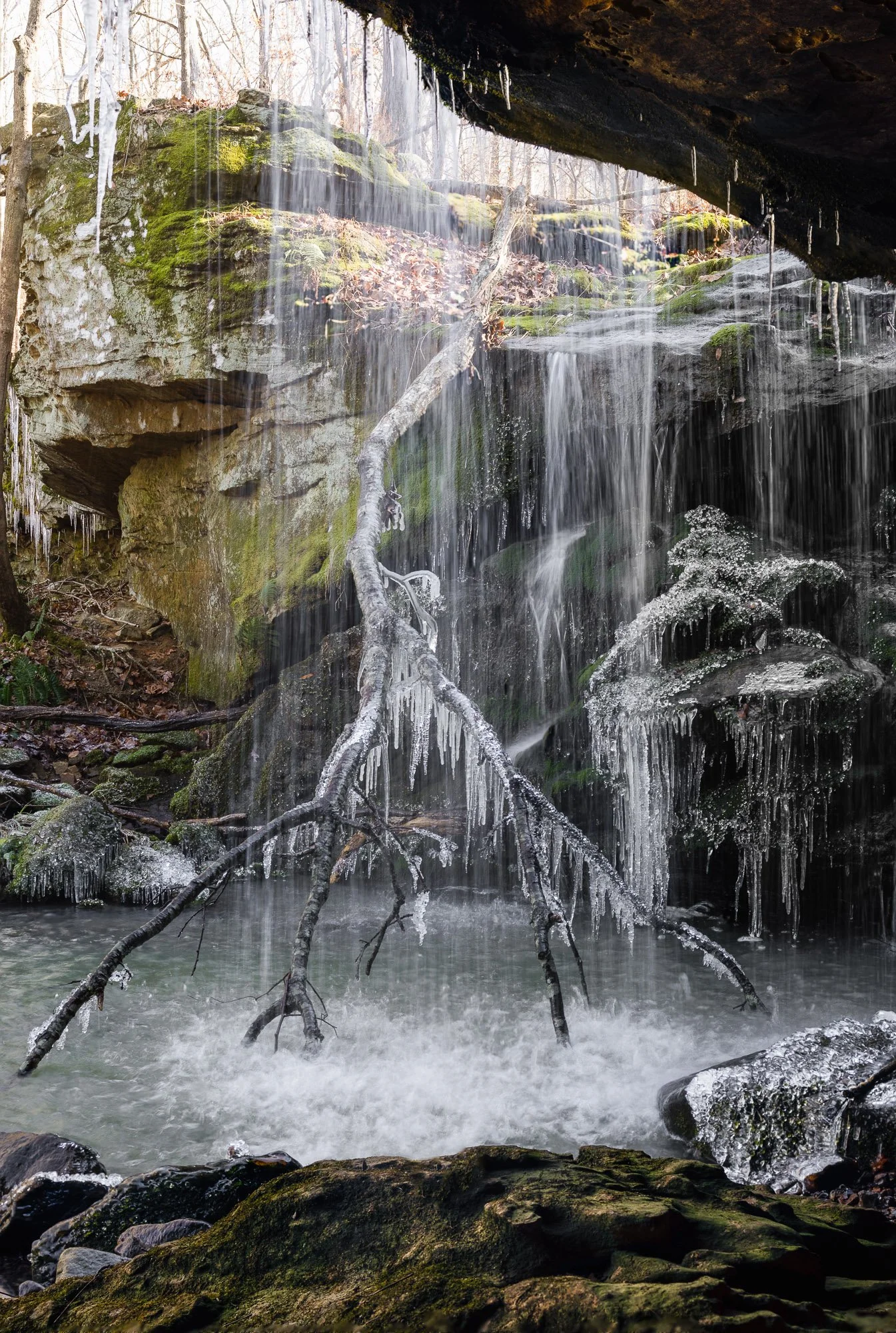 Twin Falls Frozen