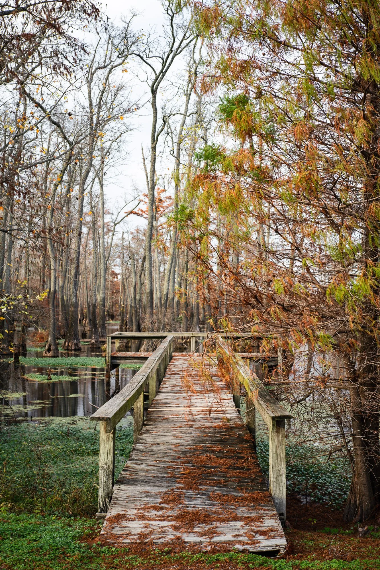 Horseshoe Lake