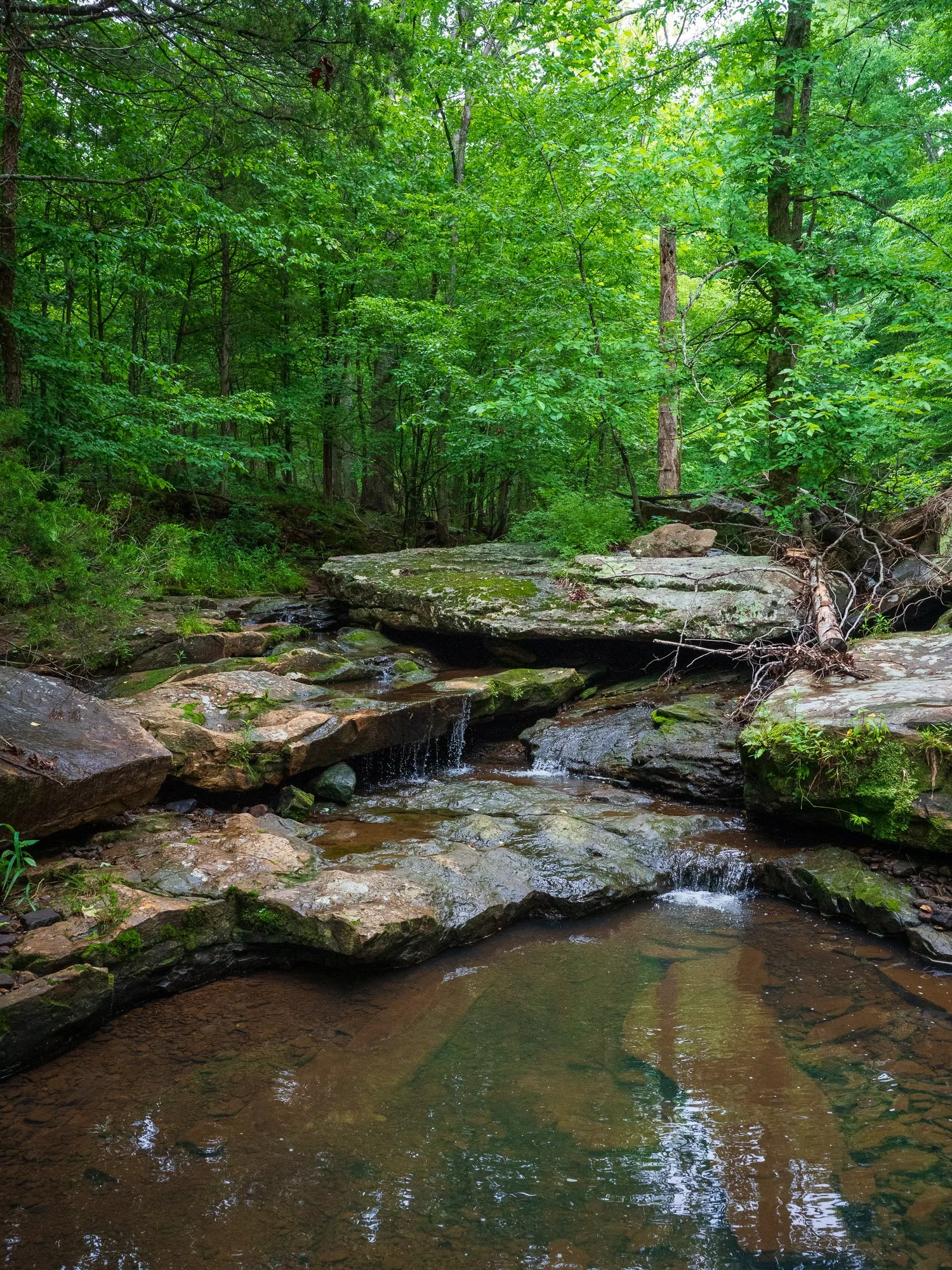 Buck Creek Cascade