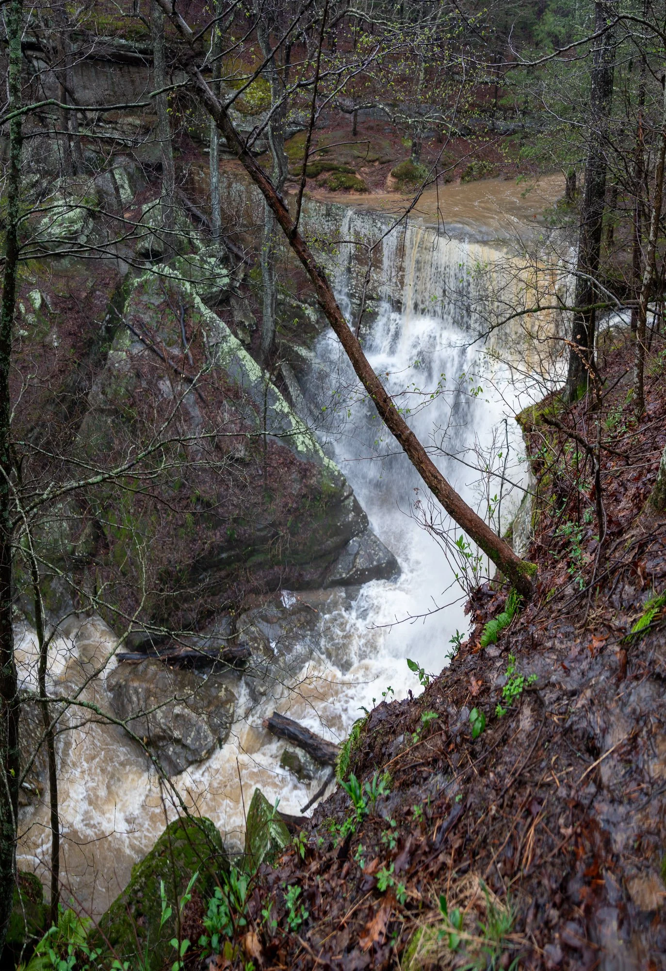 Burden Flood