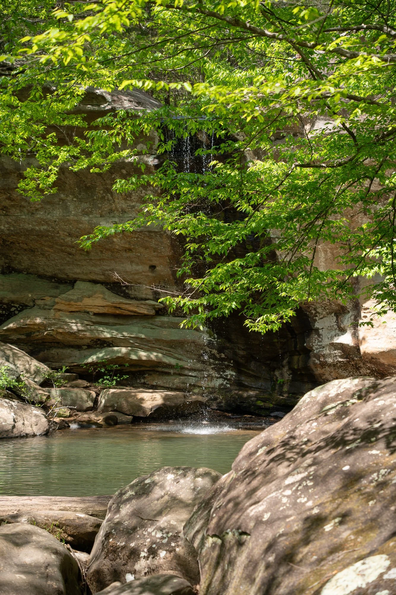 Jackson Falls Spring