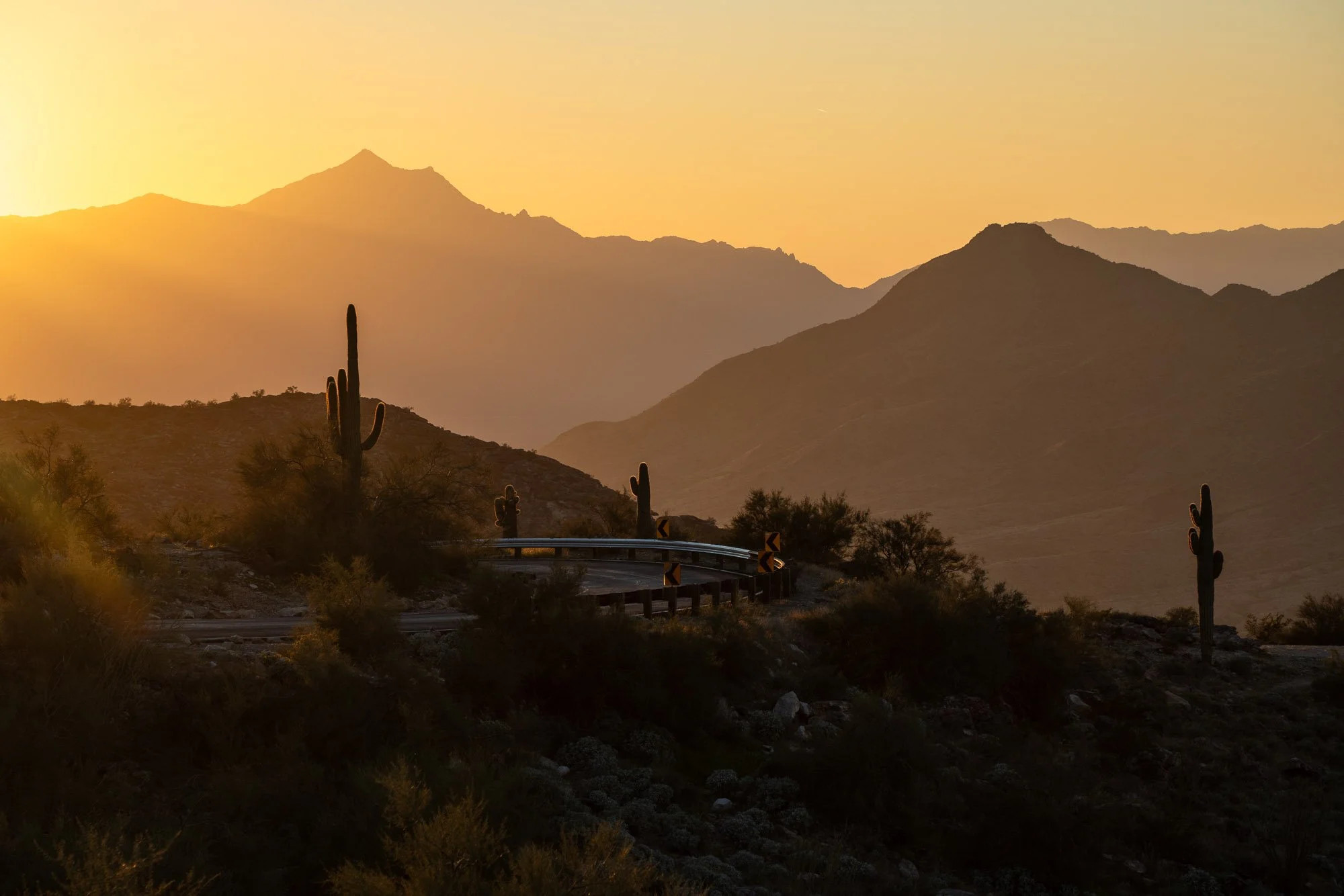 Arizona 01