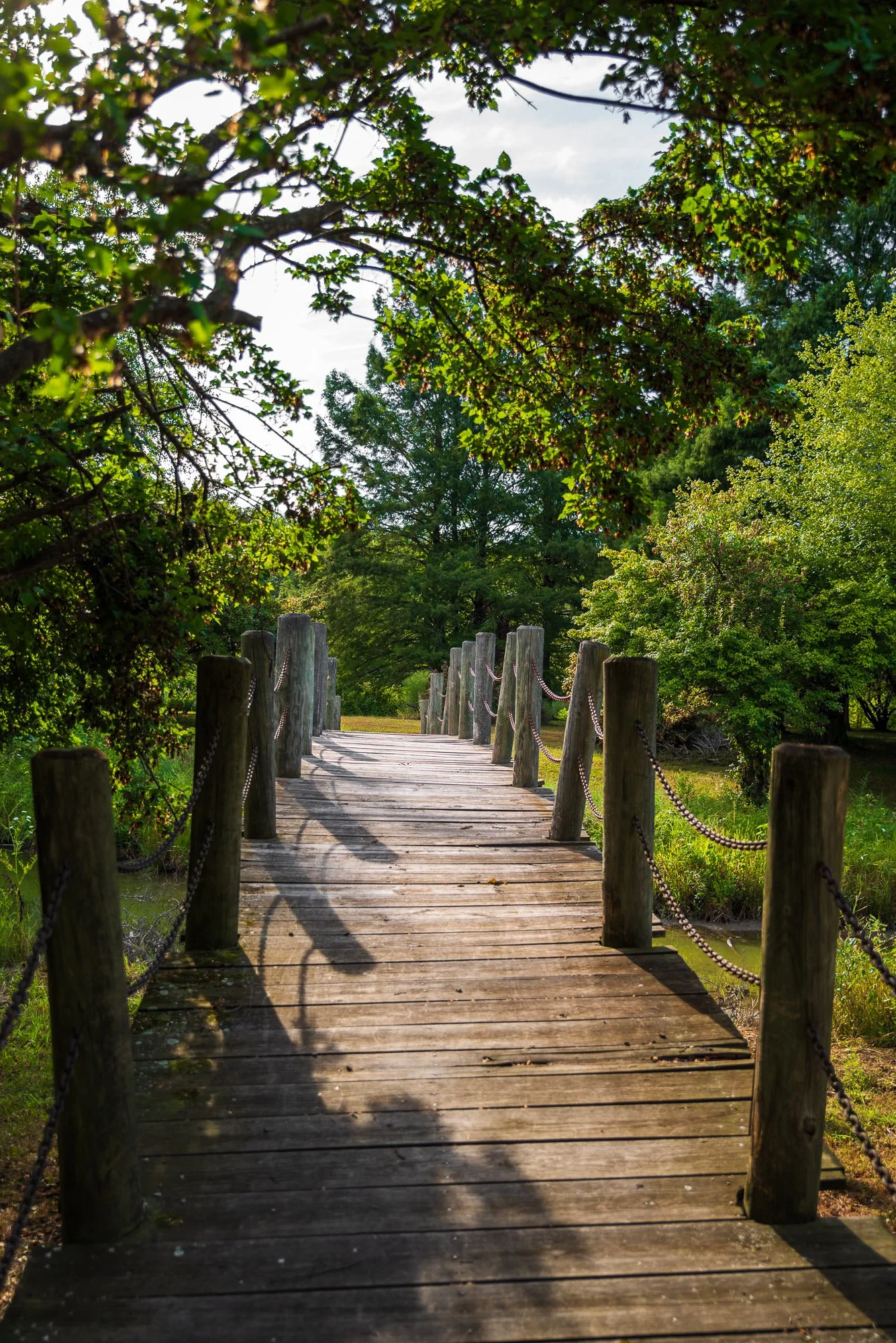 Wooden Bridge