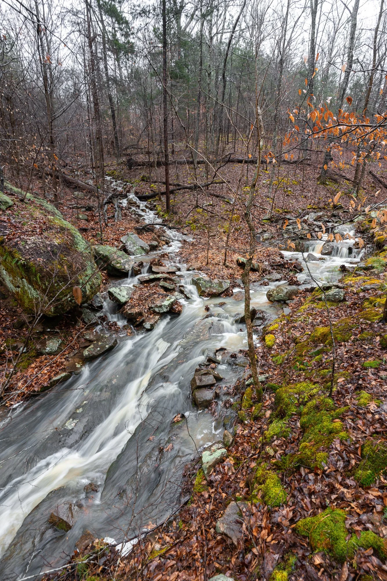 Rim Rock Winter 03