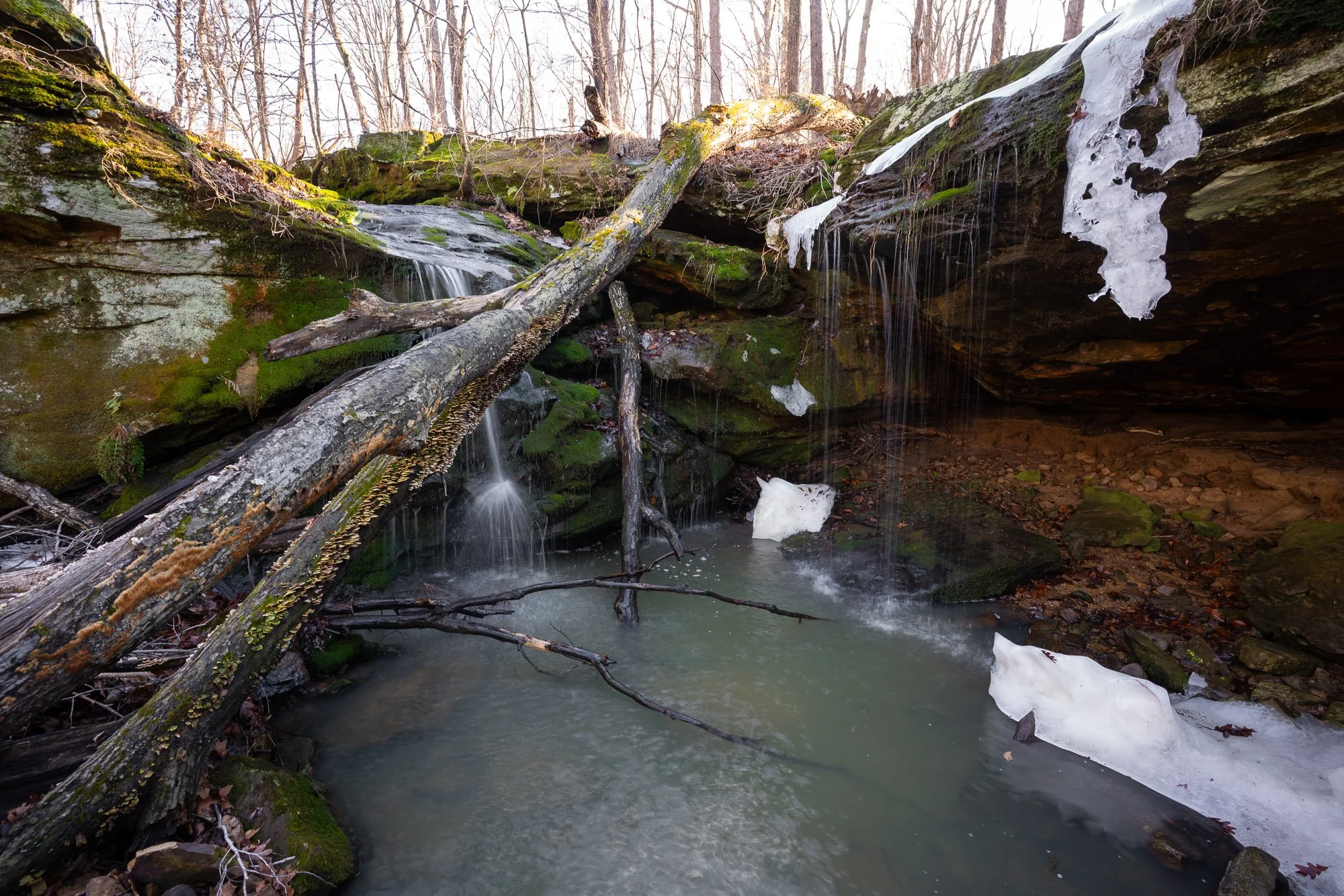 Twin Falls Frozen Log