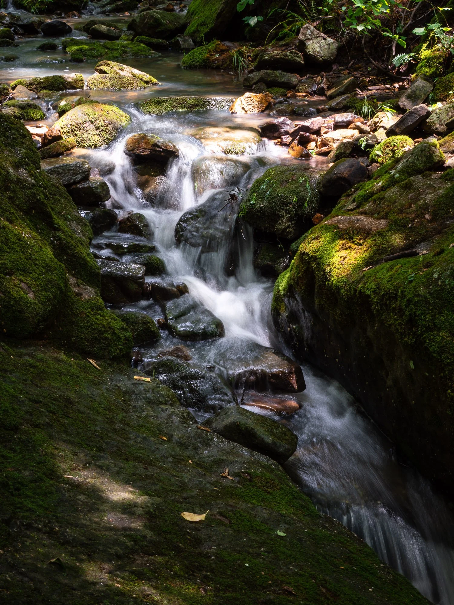 Dutchman Lake Creek