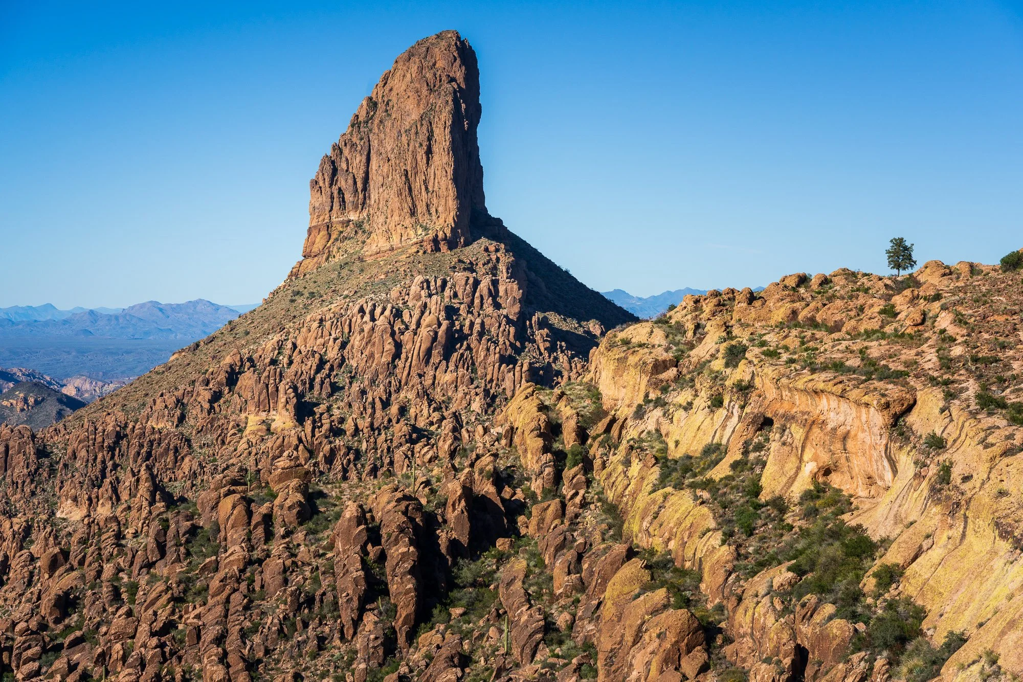 Weaver's Needle
