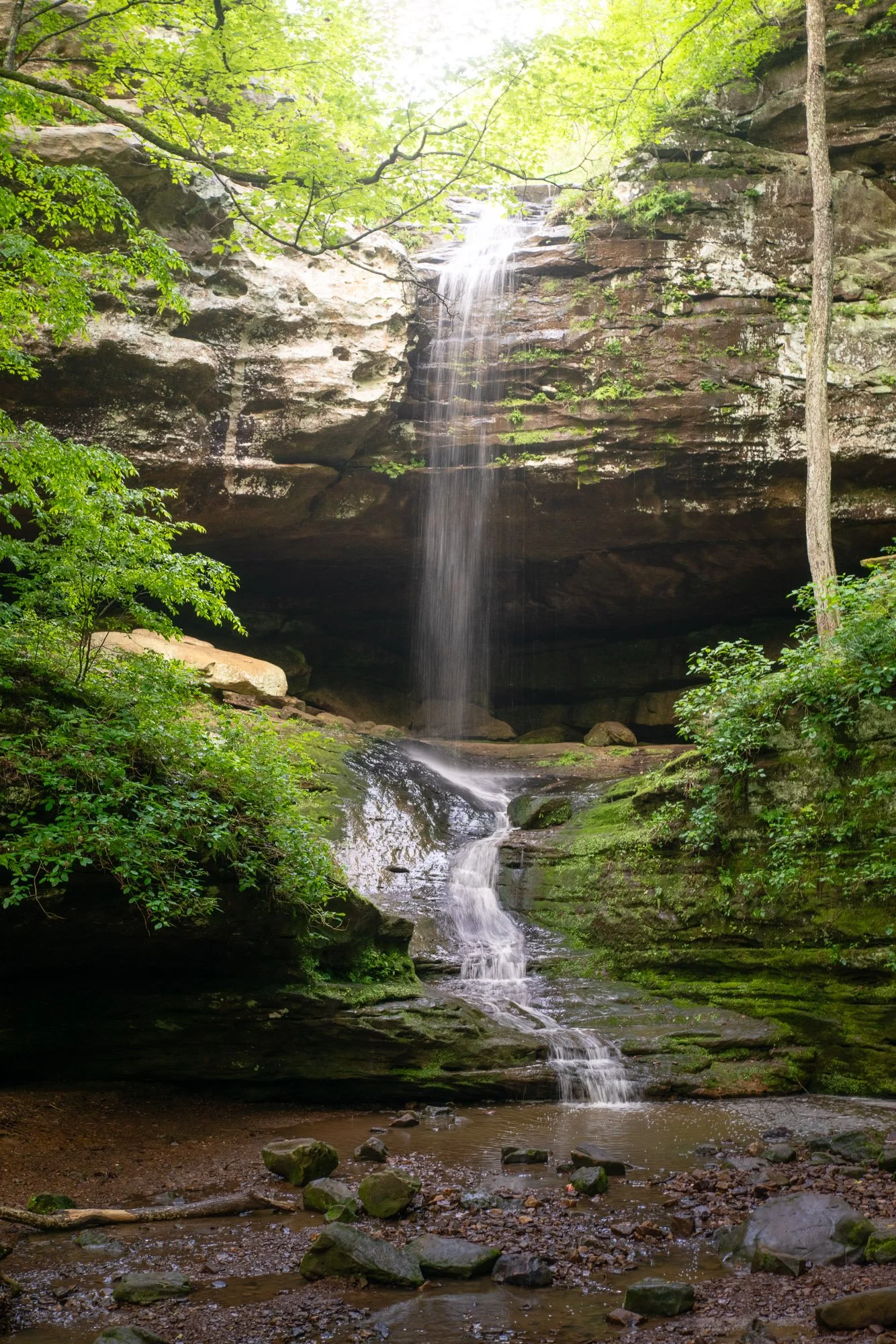 Big Rocky Hollow Falls 01
