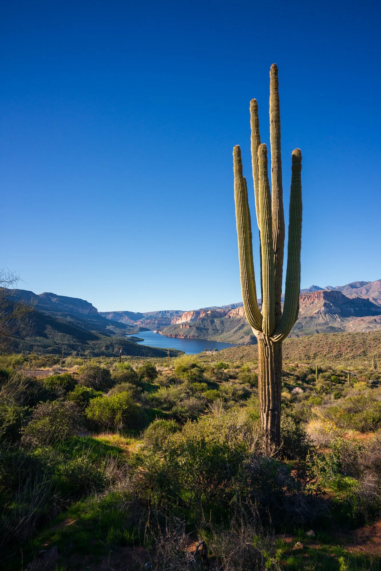 Apache Lake 02