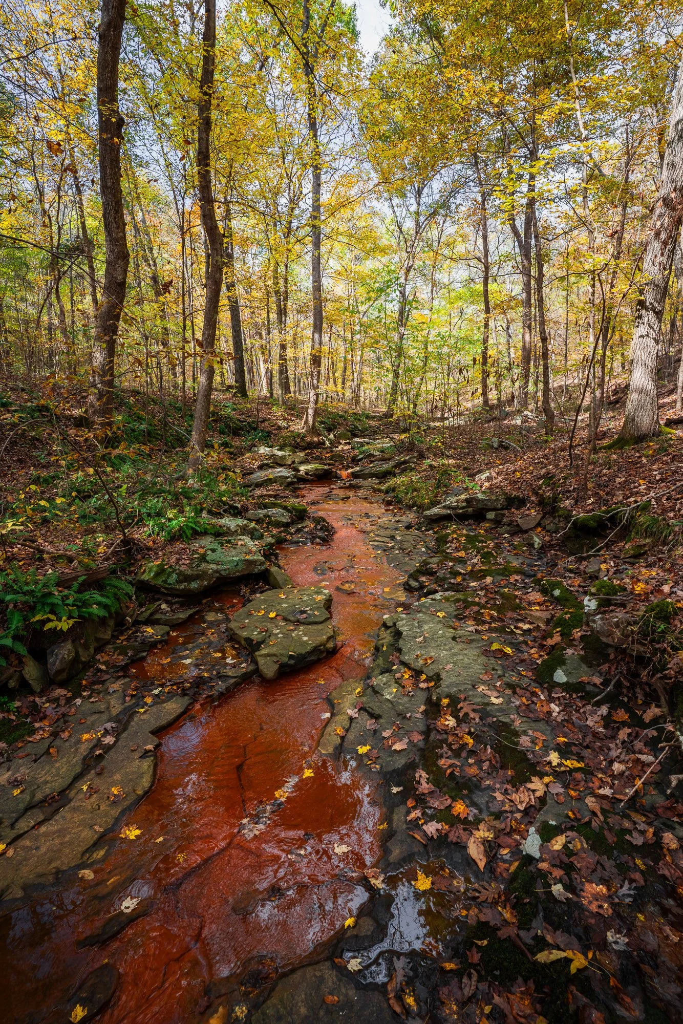 Iron Creek 02