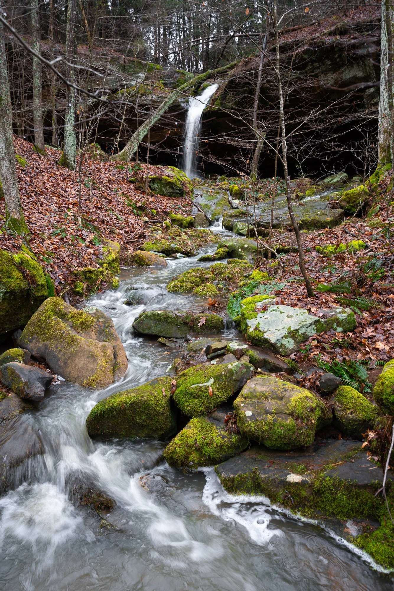 Alcove Falls with Creek