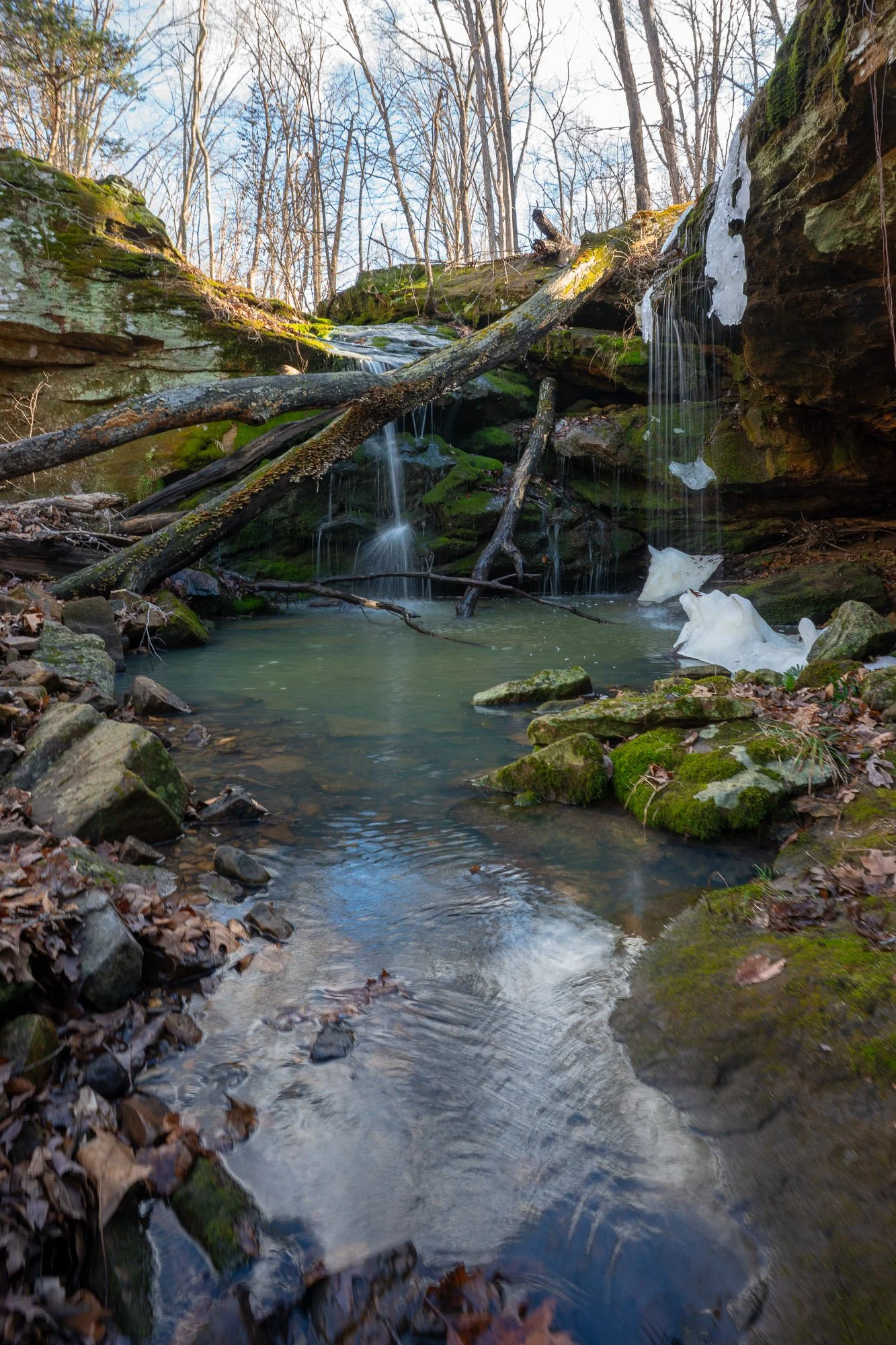 Twin Falls Frozen Log and Creek