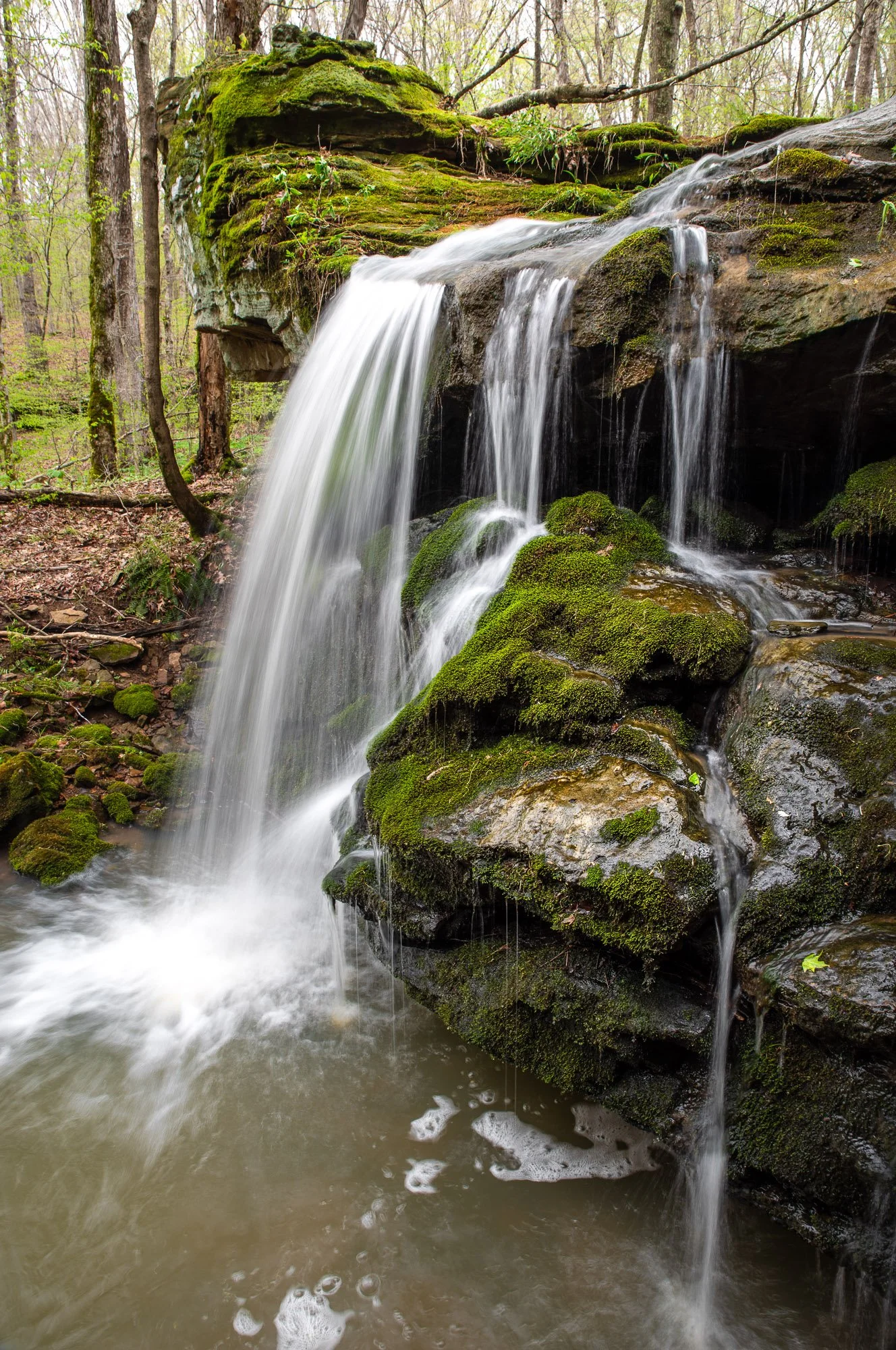 Twin Falls Sister