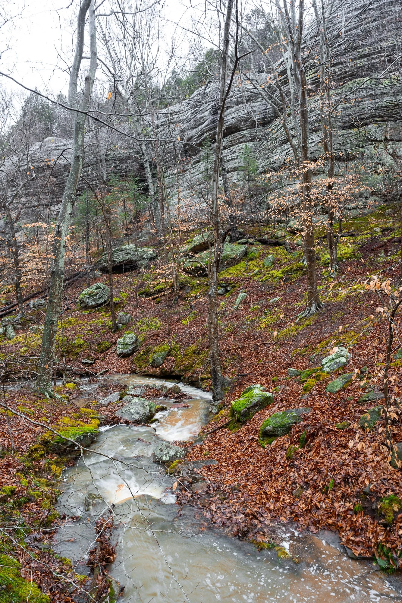 Rim Rock Winter 01