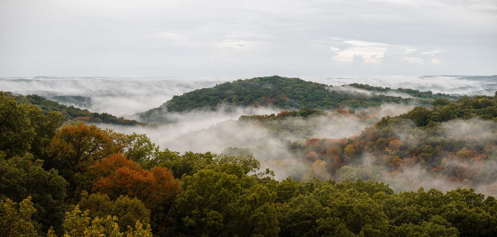 Naturescapes