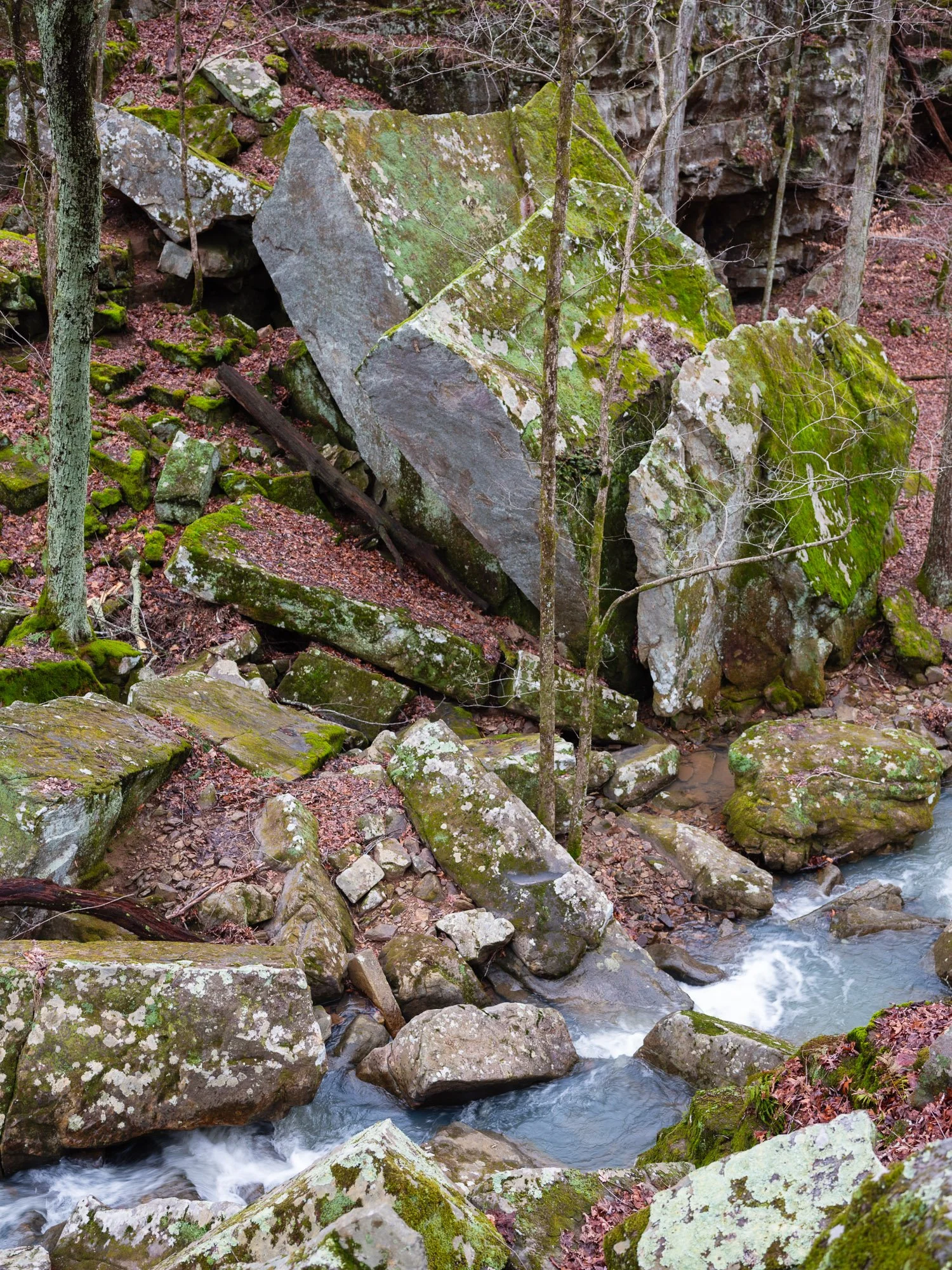 Secret Canyon Boulders