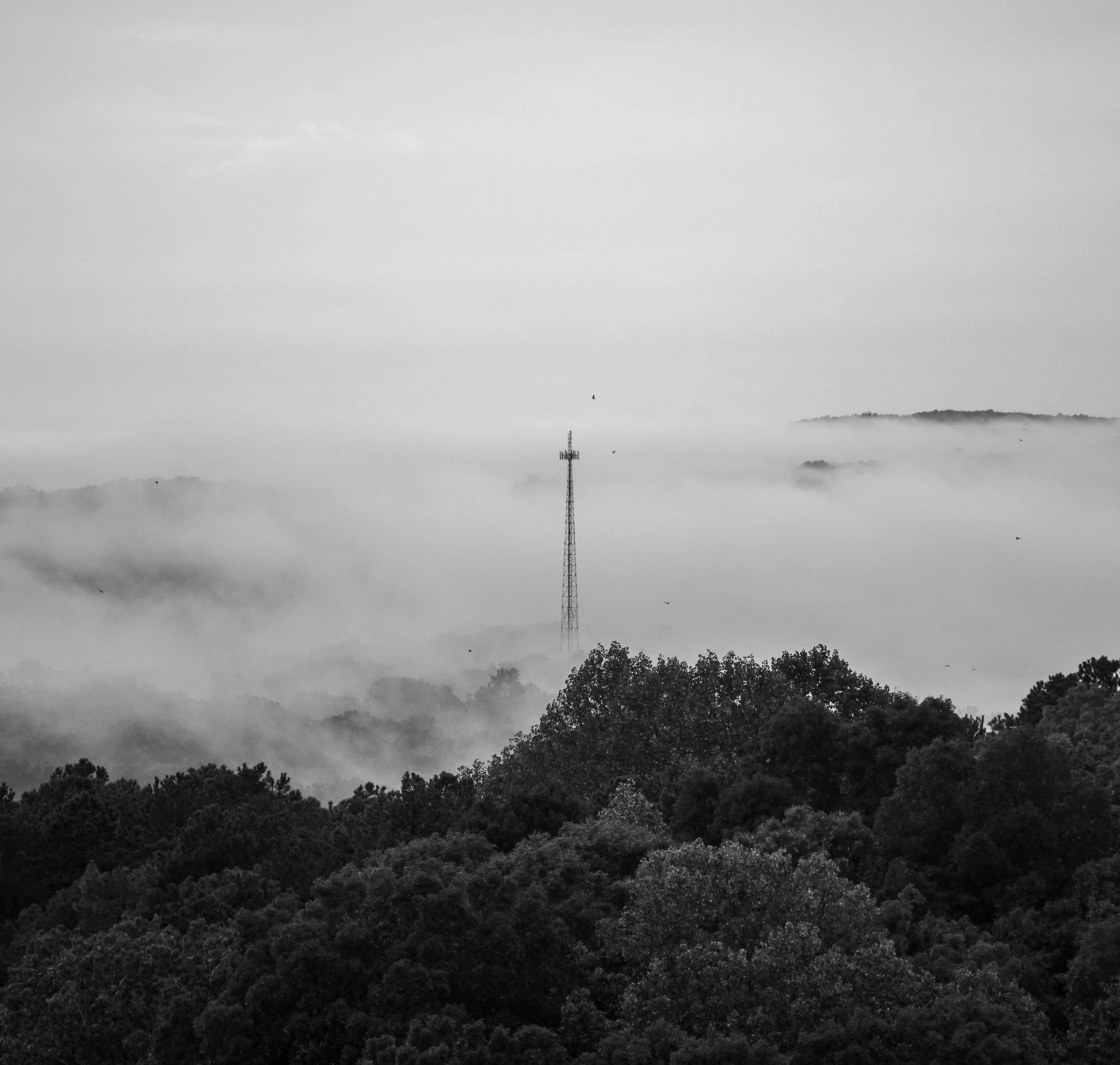 Tower in the Mists