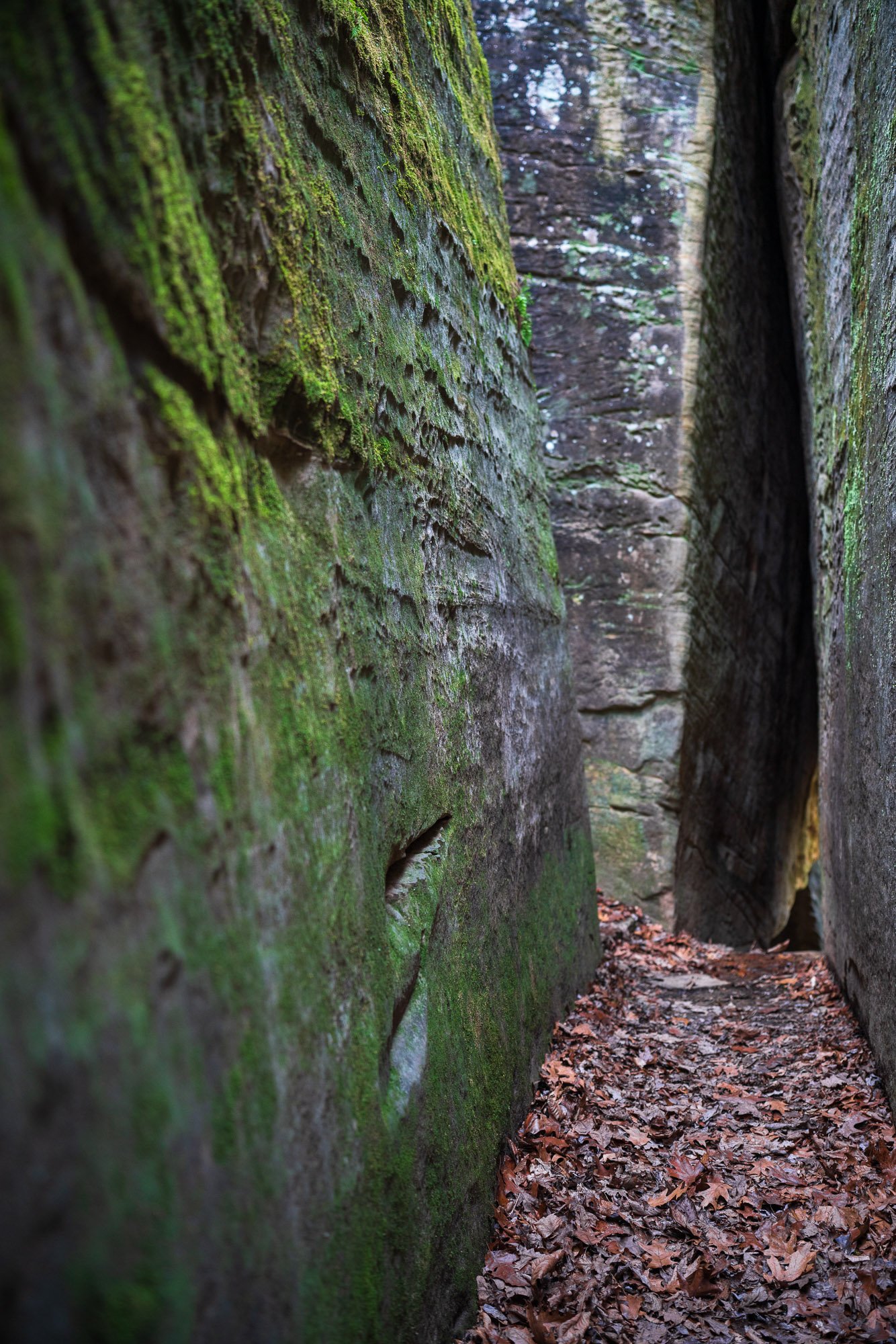 Rim Rock Squeeze