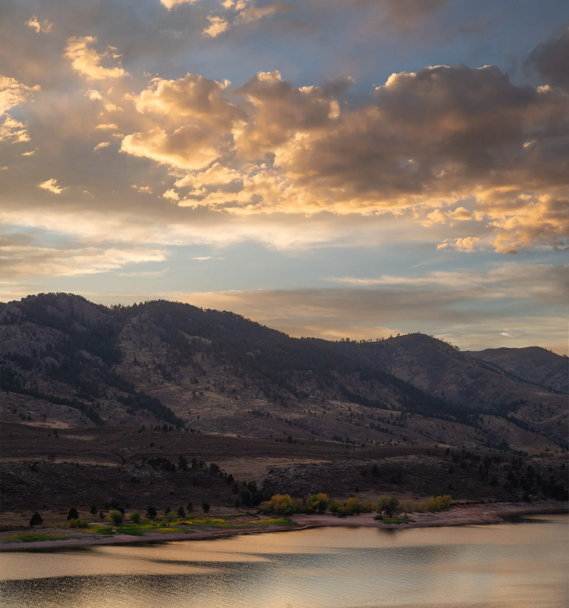 Fort Collins 01