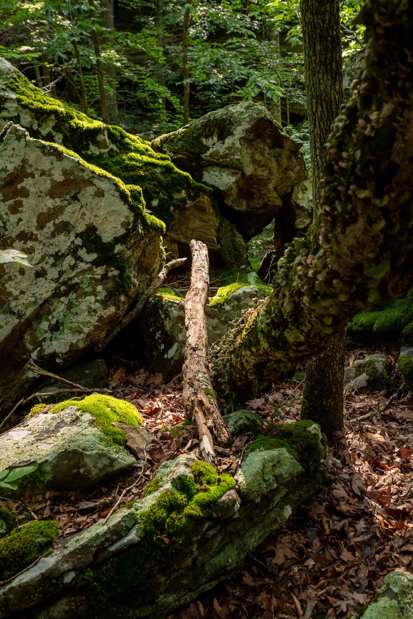 Trail to Hitching Post