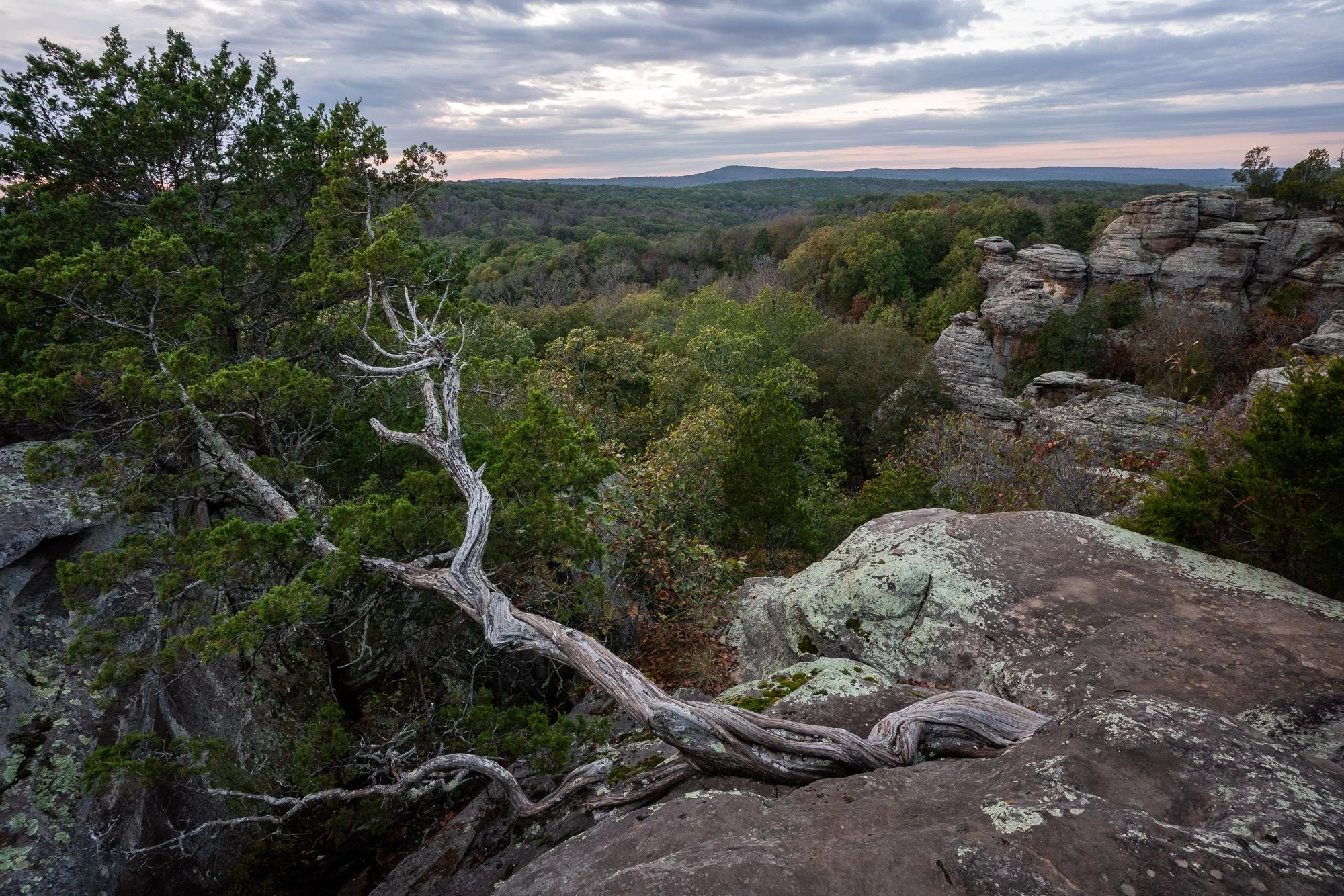 Cedar and Camel Rock