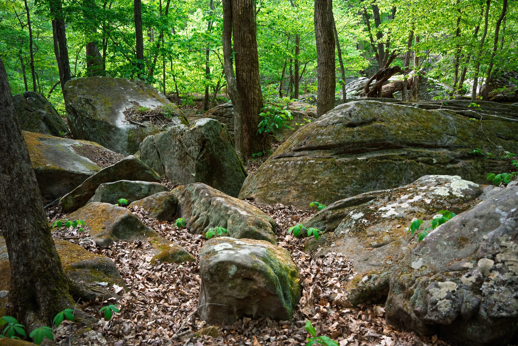 Jackson Falls Boulders