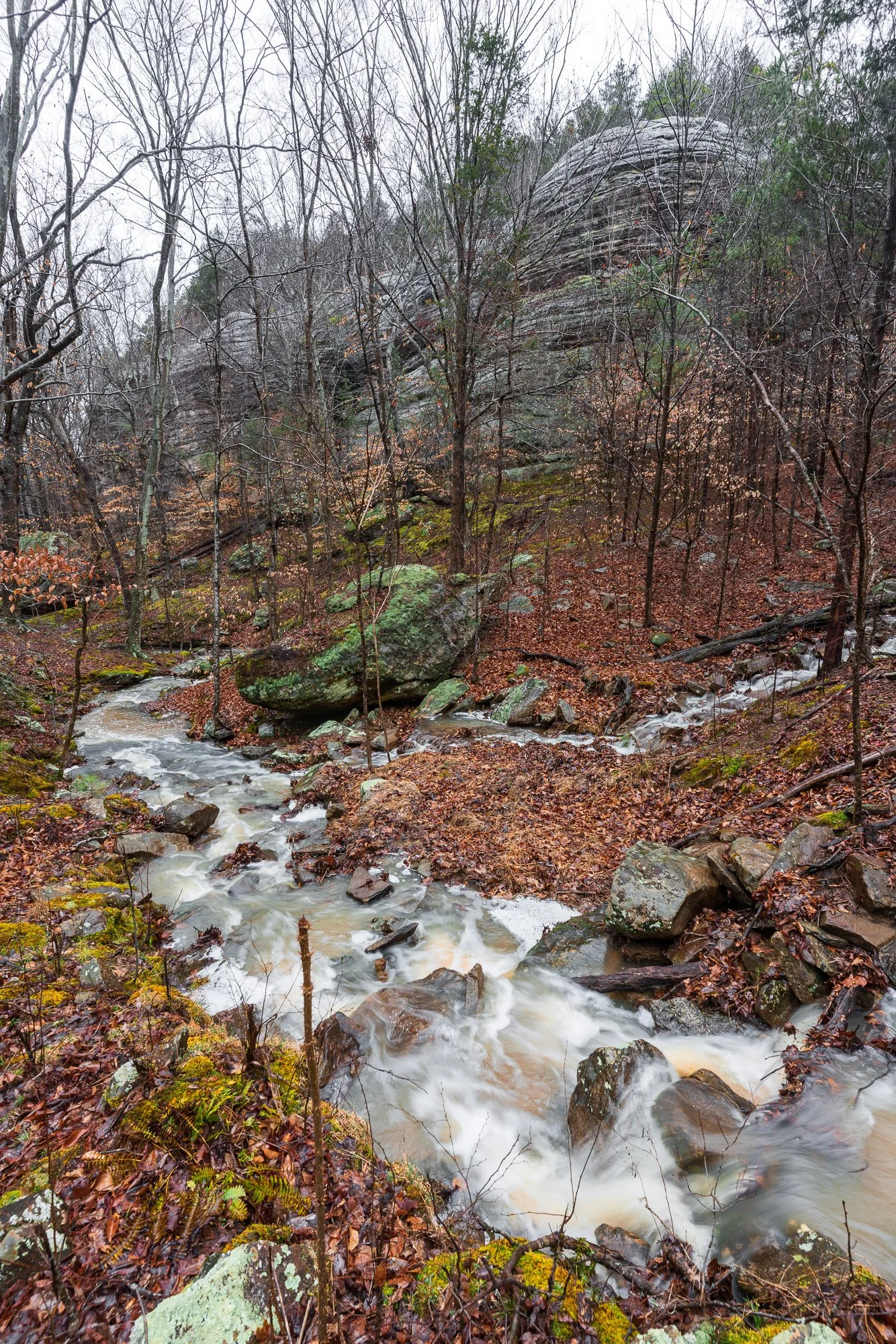 Rim Rock Winter 02
