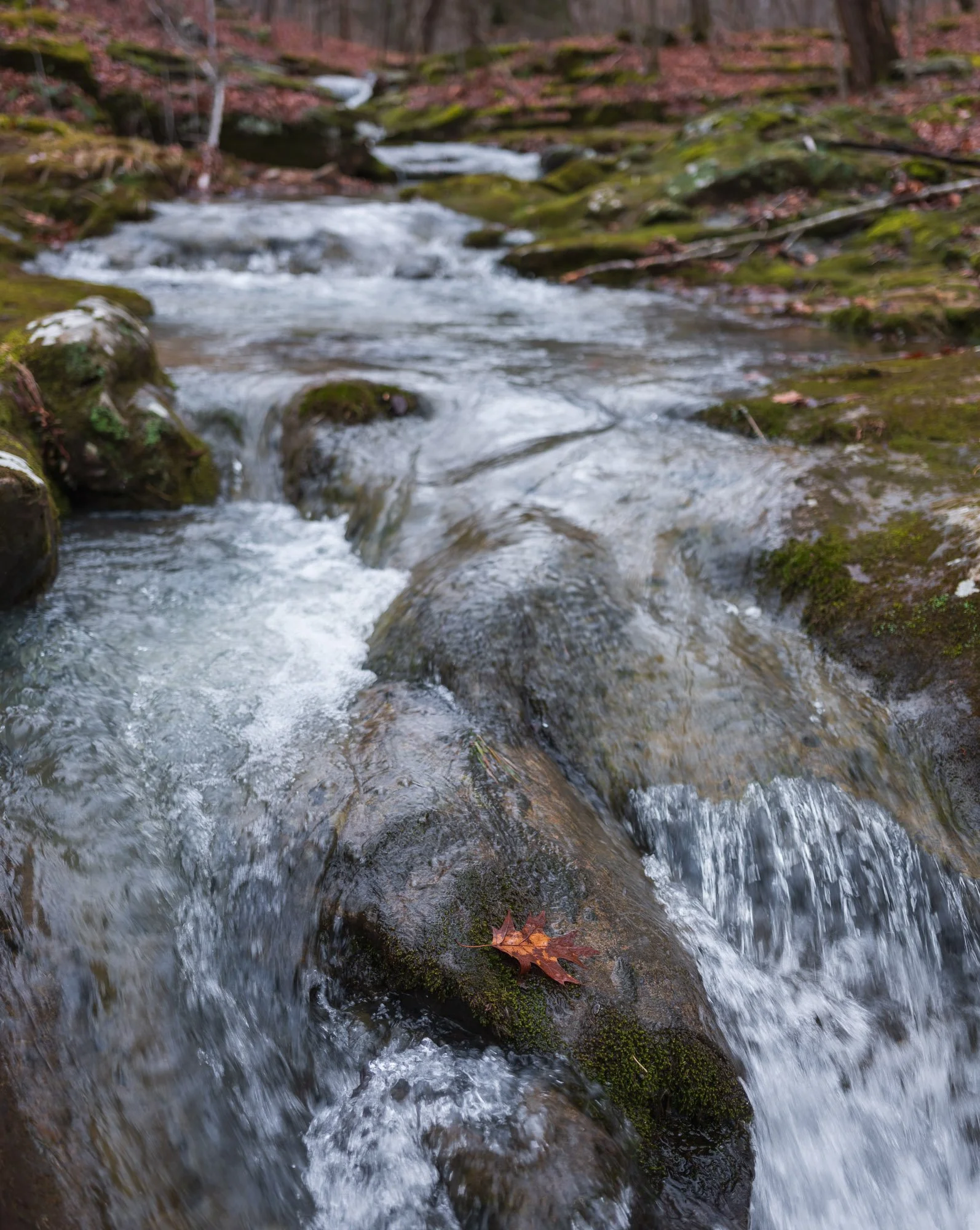 Secret Canyon Cascades