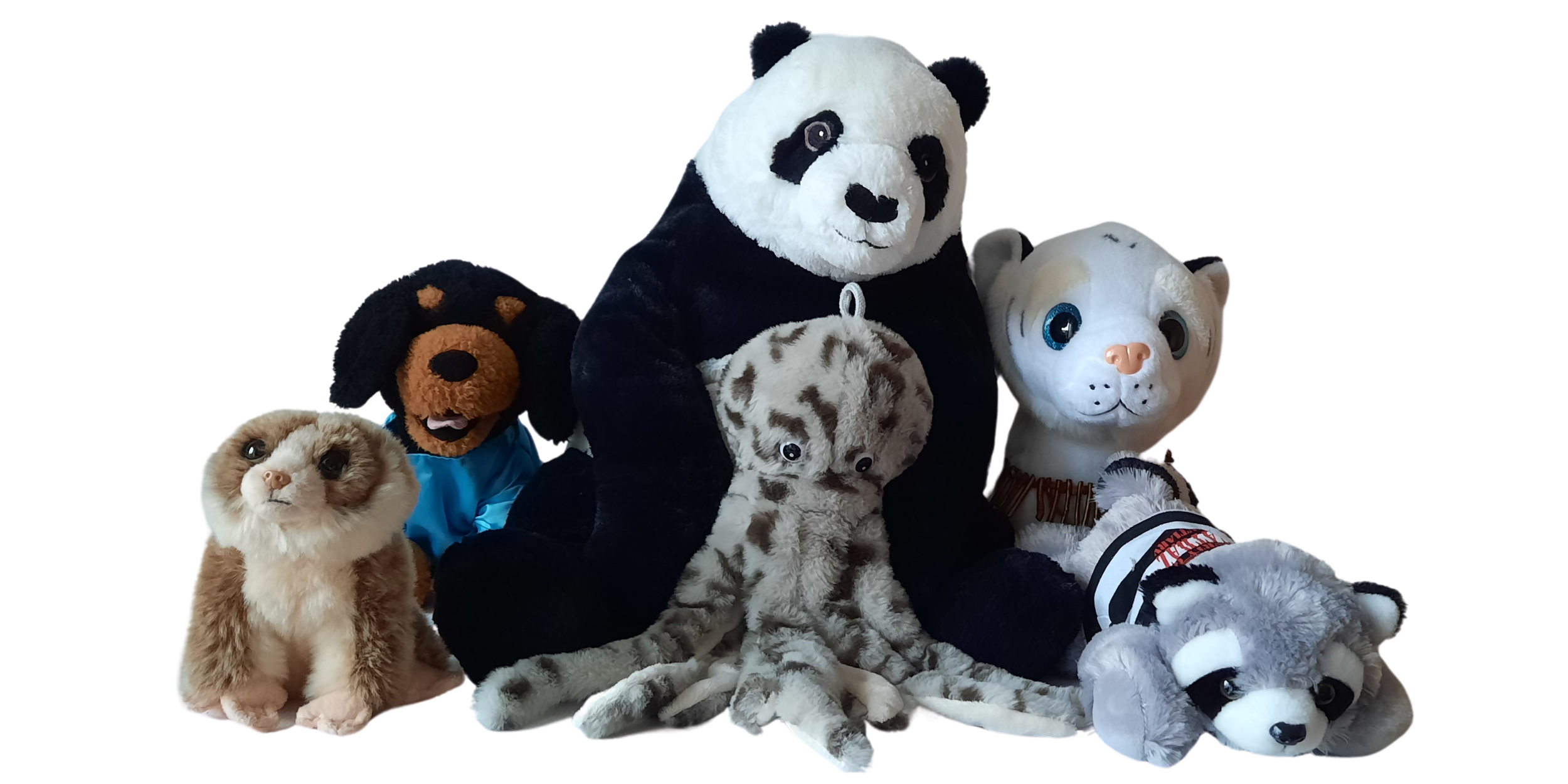Bop! Methodology: Soft Toys, a powerful tool for language learning.