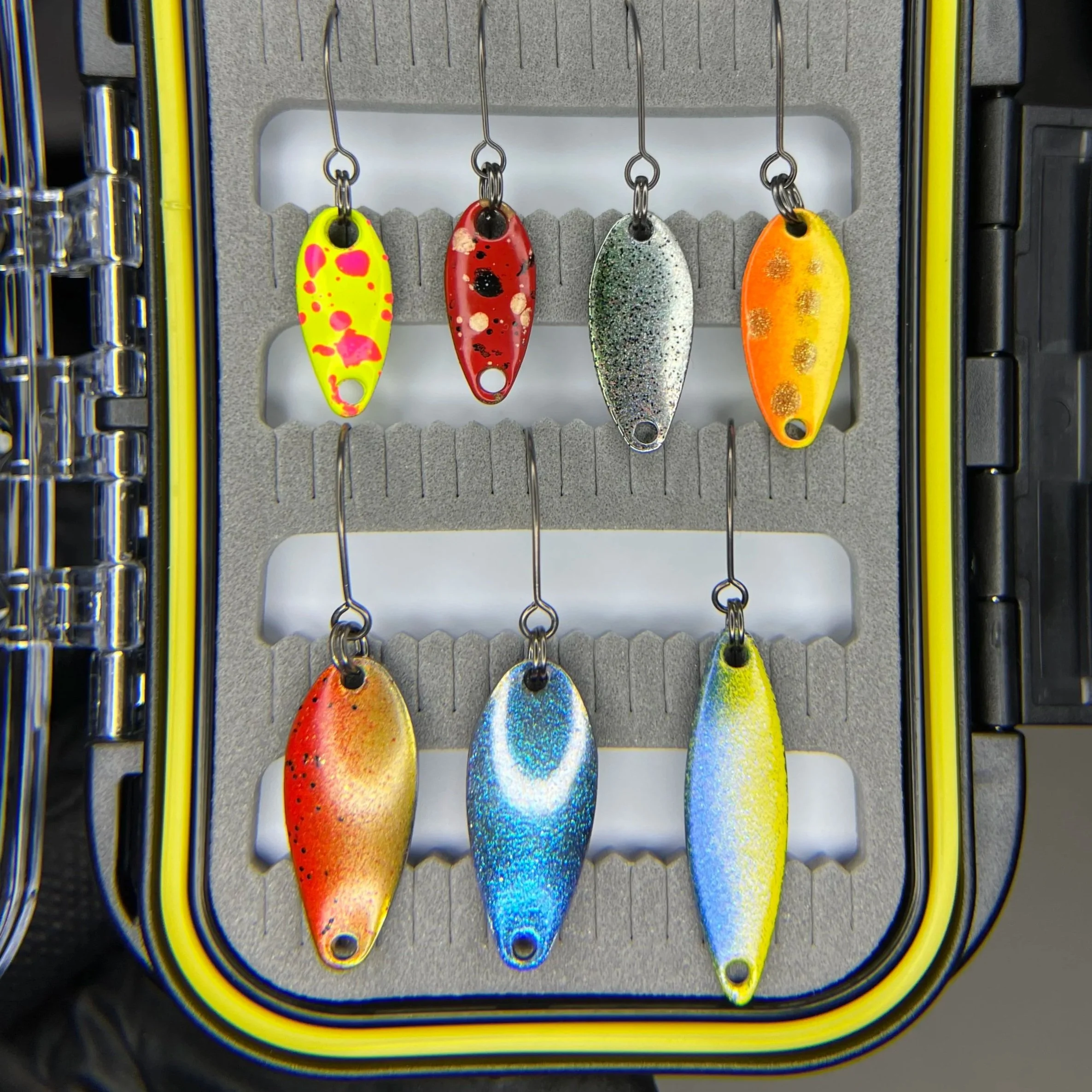 IMG_6408.jpg