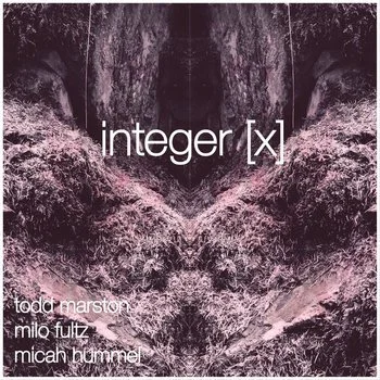 integer [x]