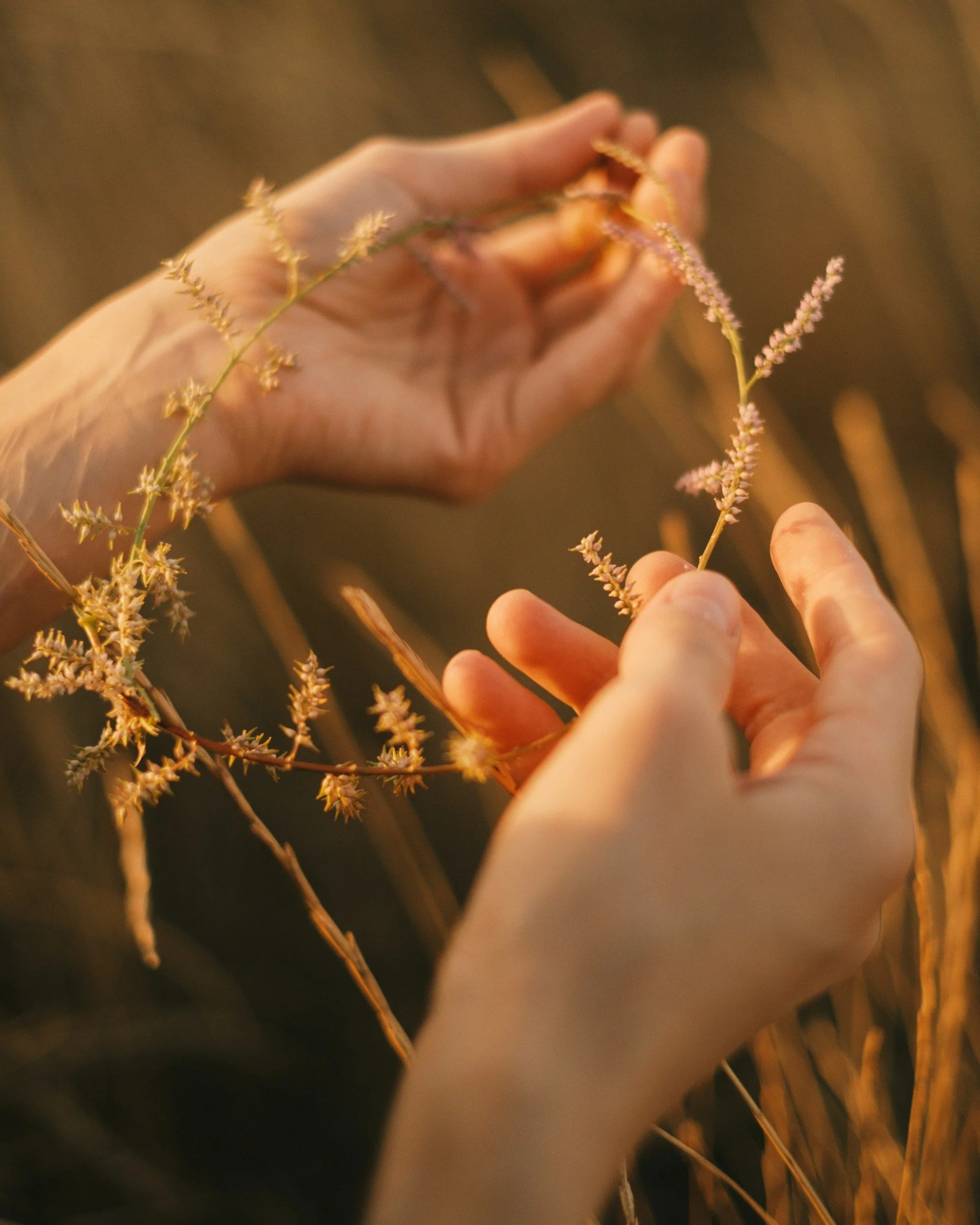 Summer Solstice Celebration