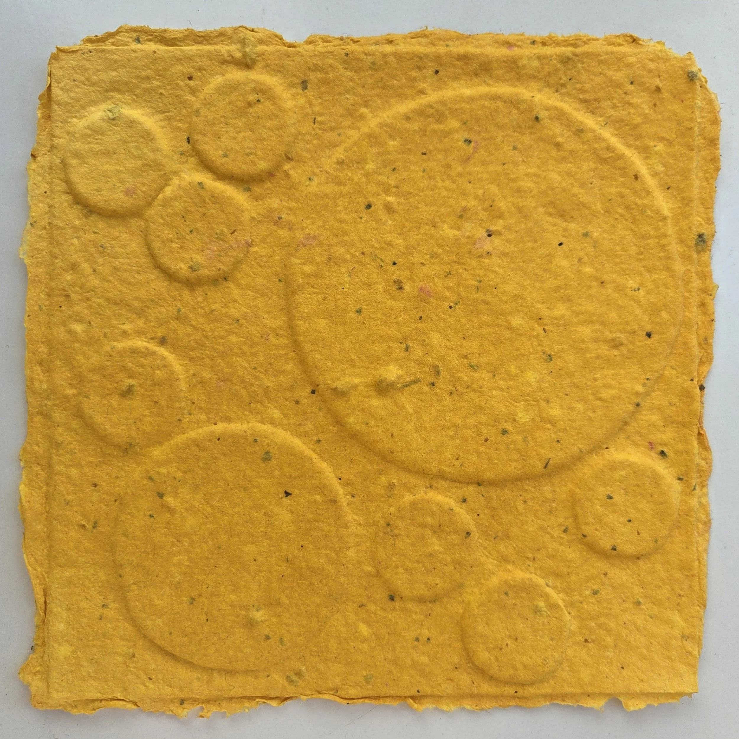 Handmade Paper - Bev Barnett - form 3.jpg