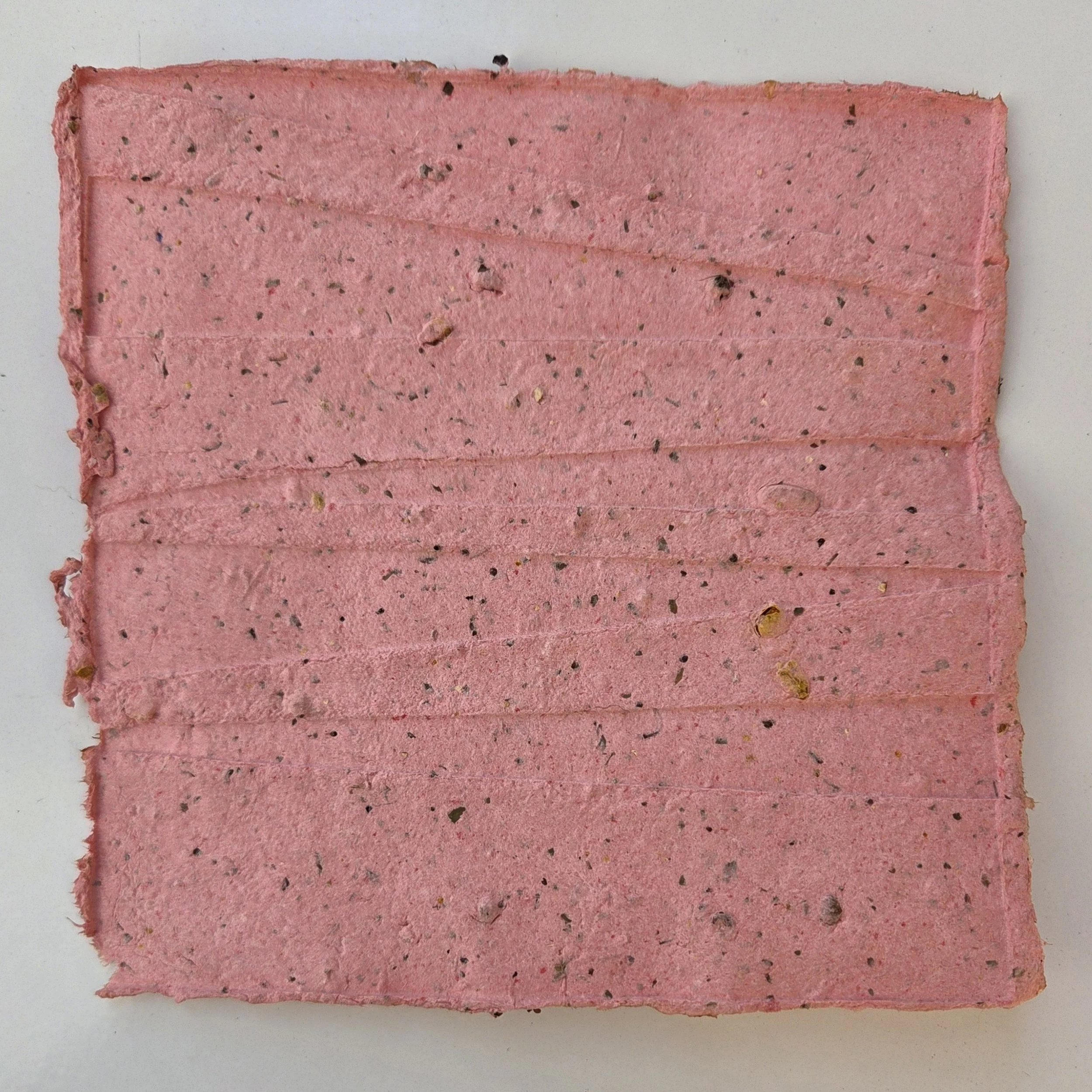 Handmade Paper - Bev Barnett - form 2.jpg