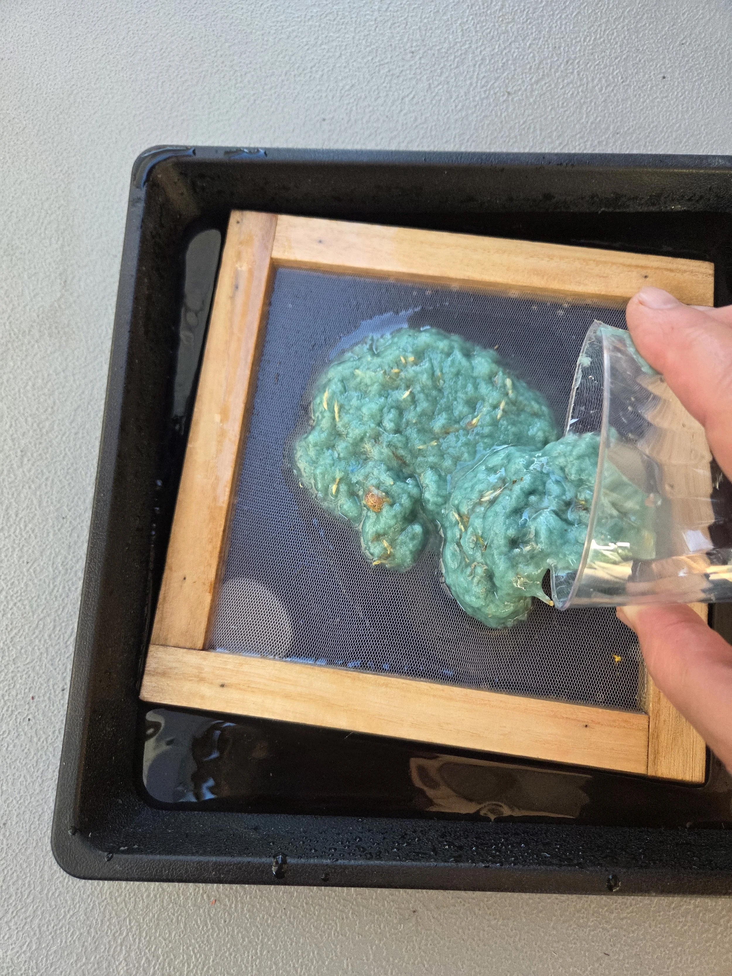 Papermaking Bev Barnett pouring.jpg
