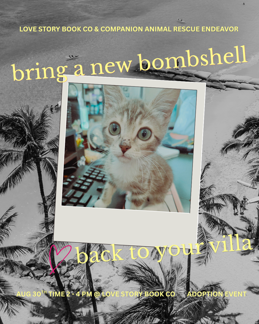 Cat Adoption Event w/ CARE
