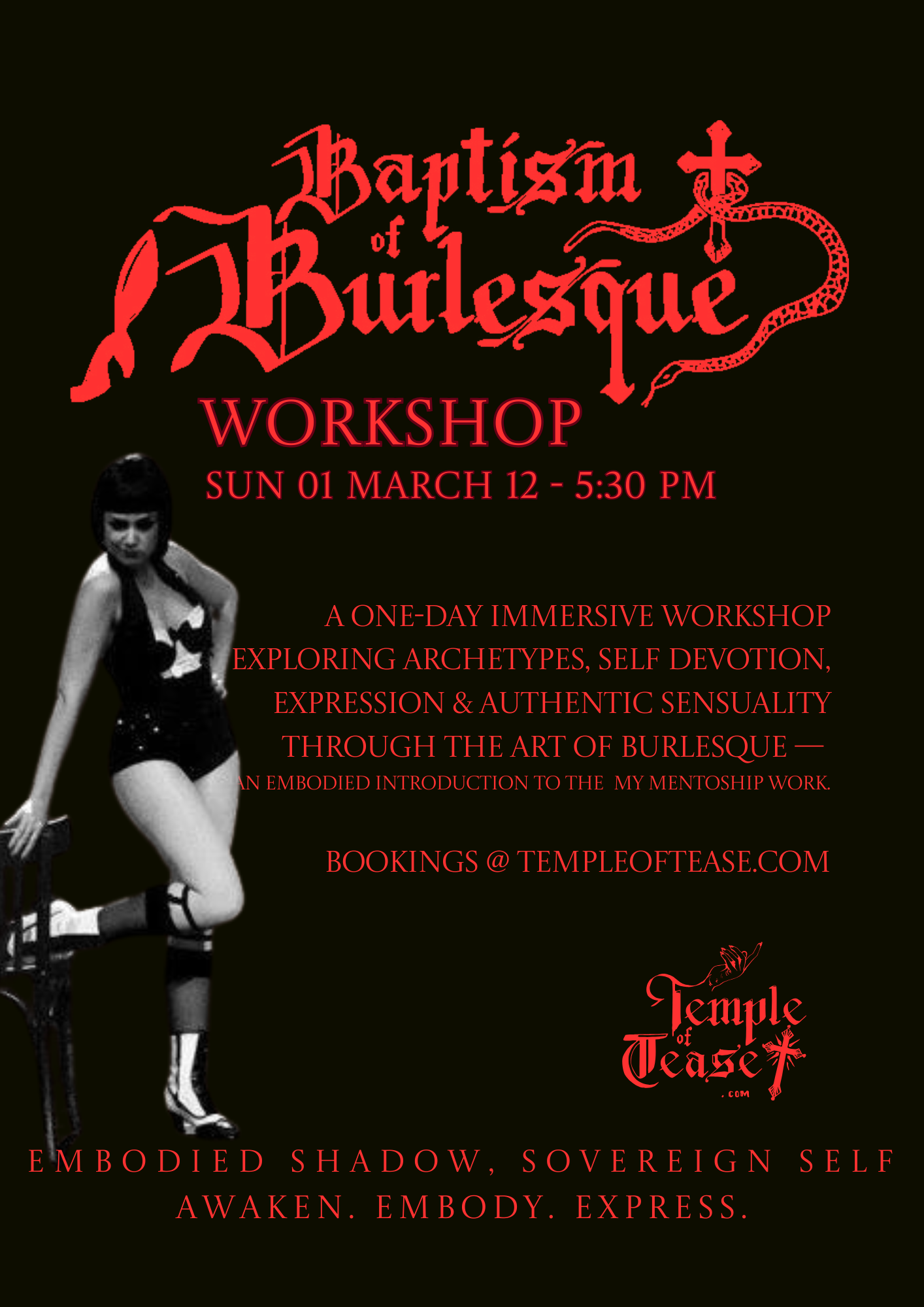 finals TOT - 2026 Workshop  posters (17).png