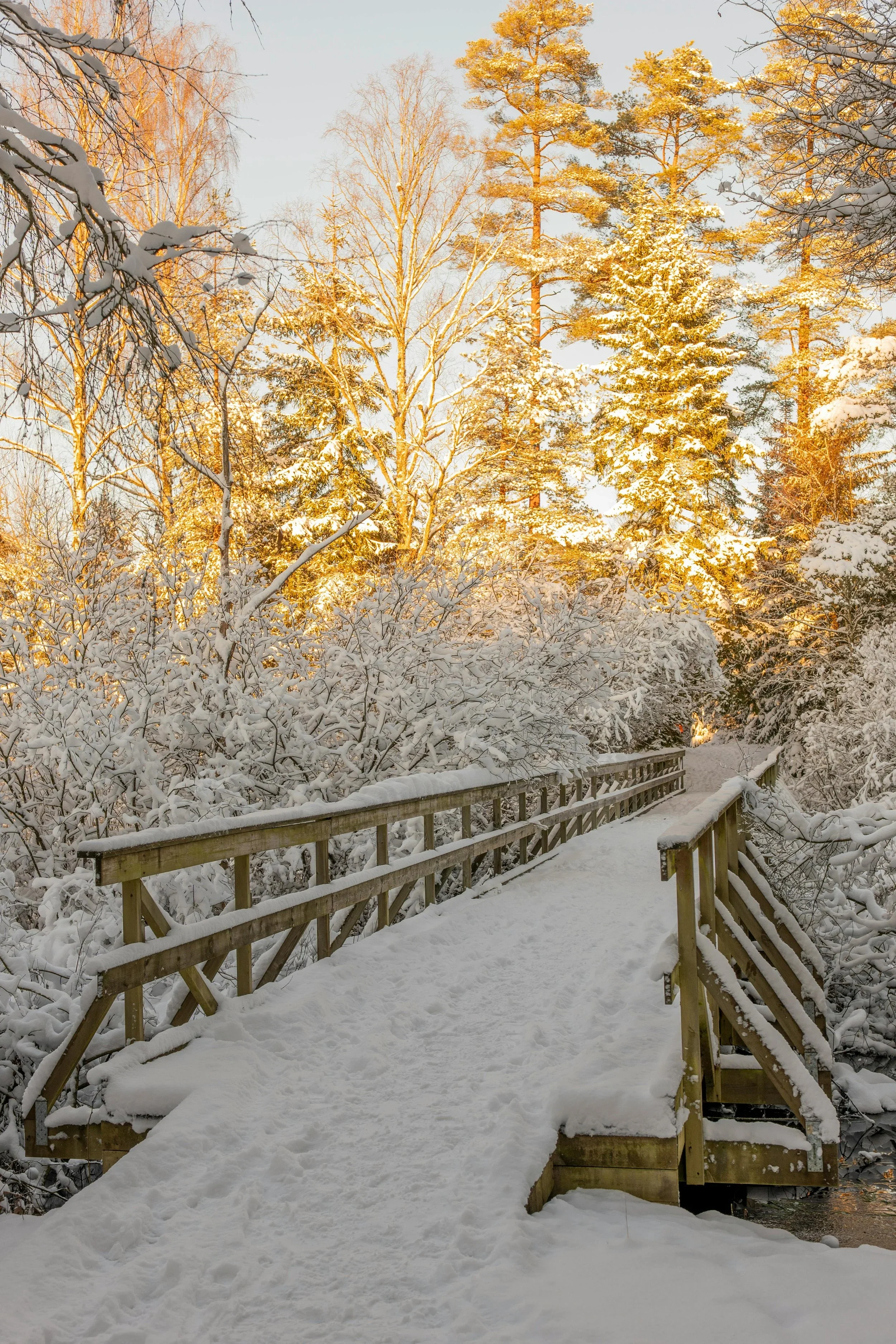 A lens for approaching a shiny, brand new year…