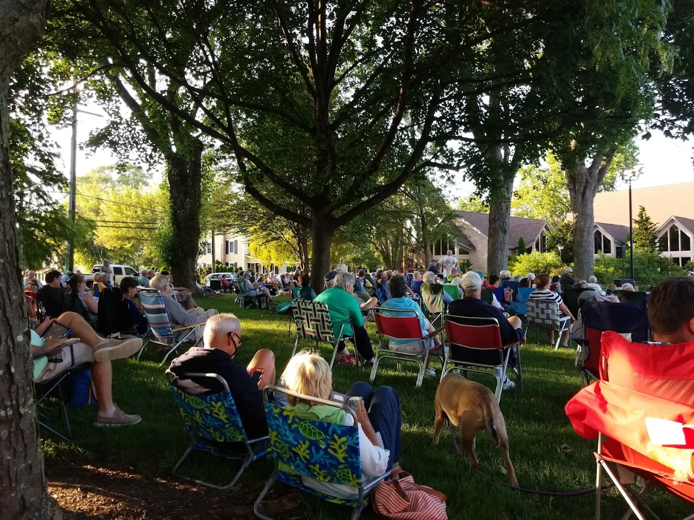 Summer Concert Series 