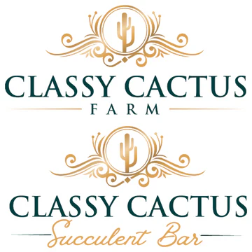 Trashy Cactus Succulent Bar (Murfreesboro, TN)