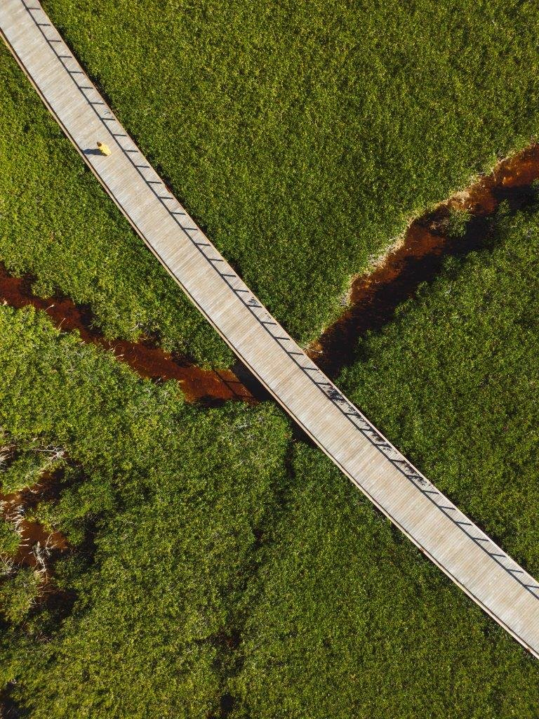 Tatiana Sheveleva CHAPI Design- St. Regis, Kanai