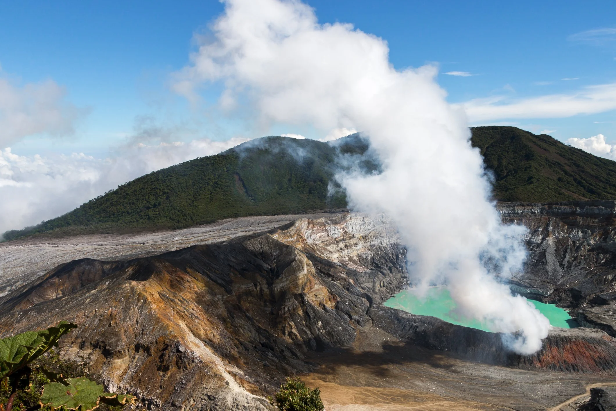 Tatiana Sheveleva Chapi Design St. Regis Costa Rica